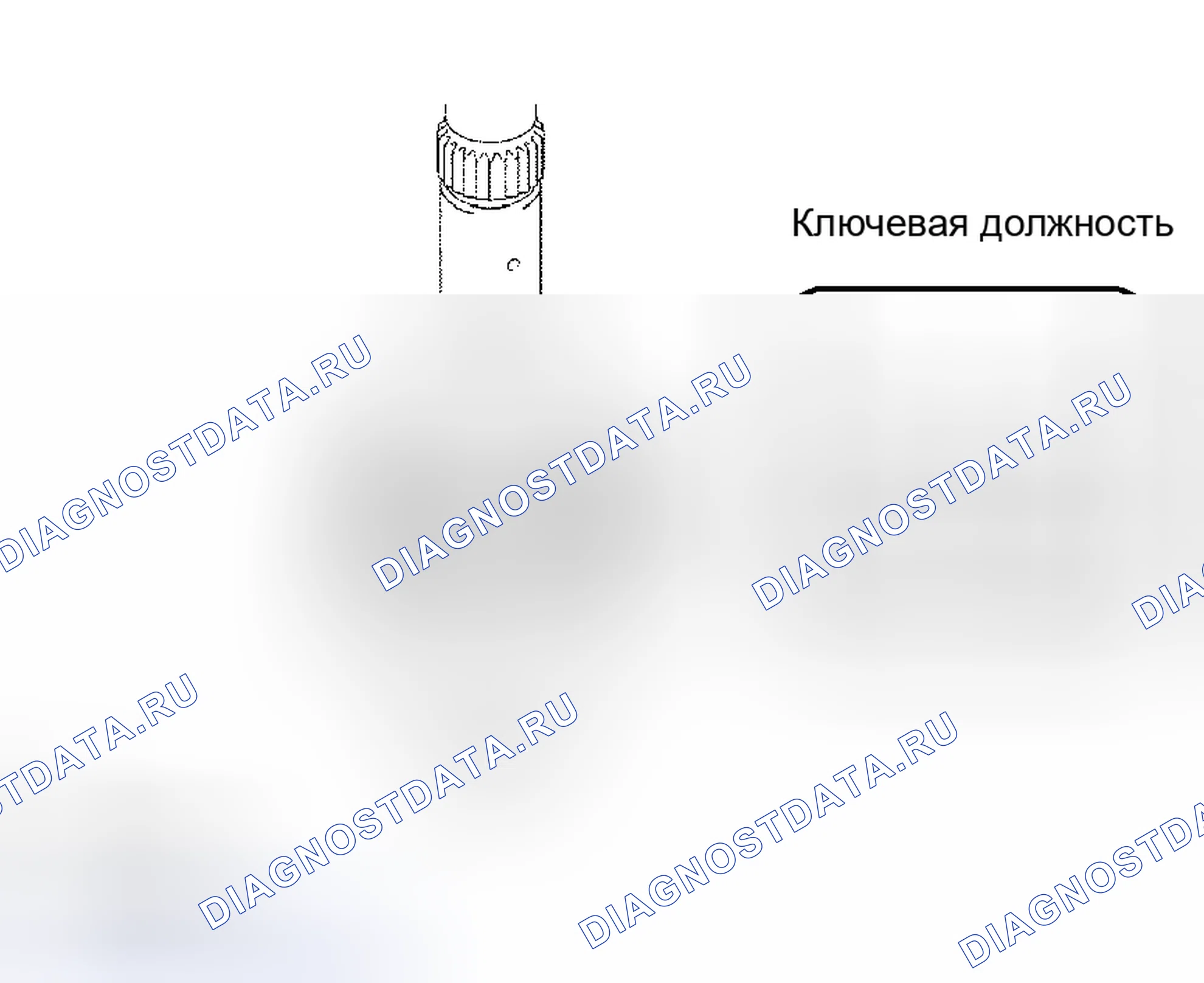 Рис. 242. Scion xB I