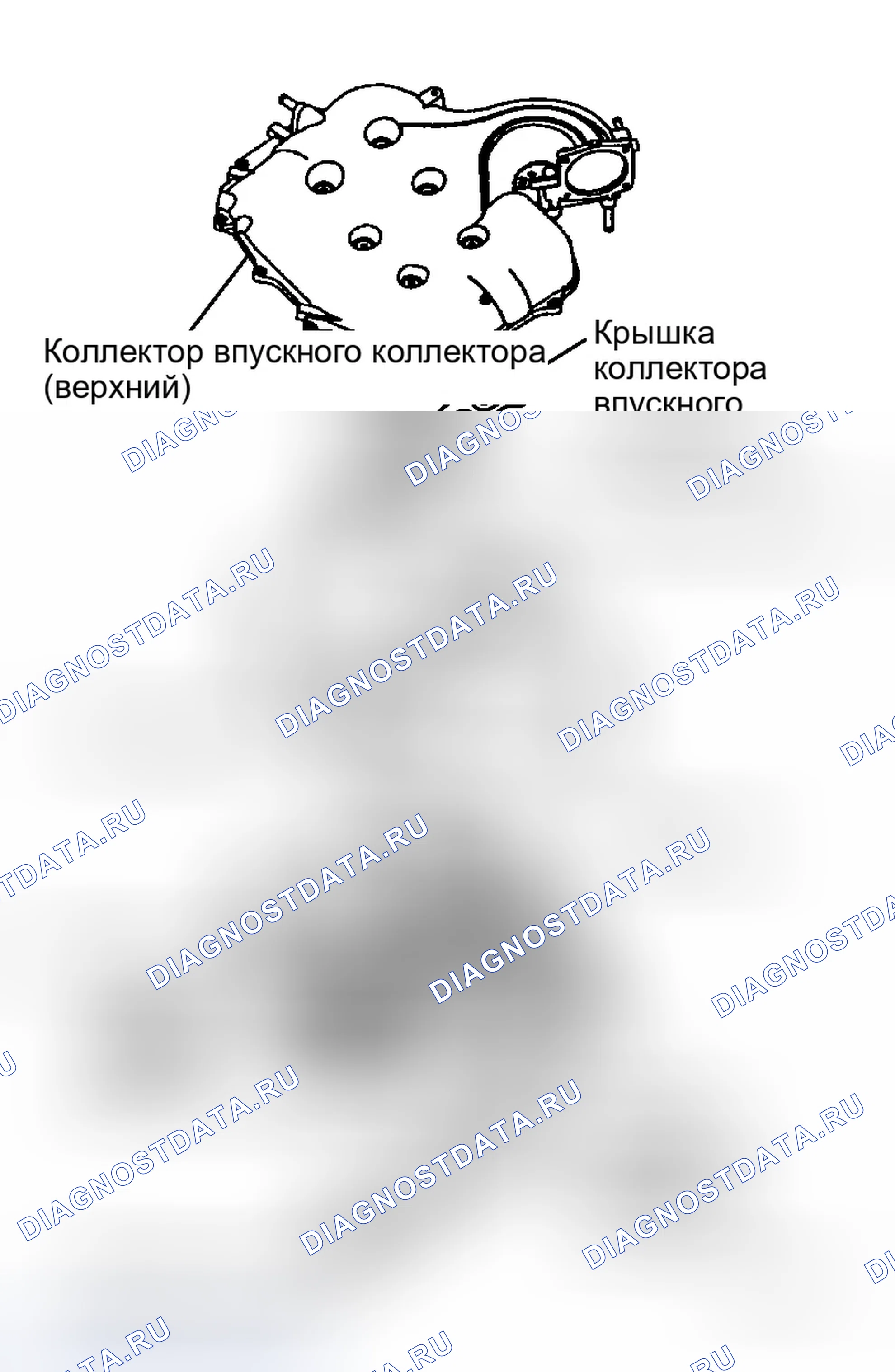 Рис. 74: Направление установки компонентов. Infiniti M35 III