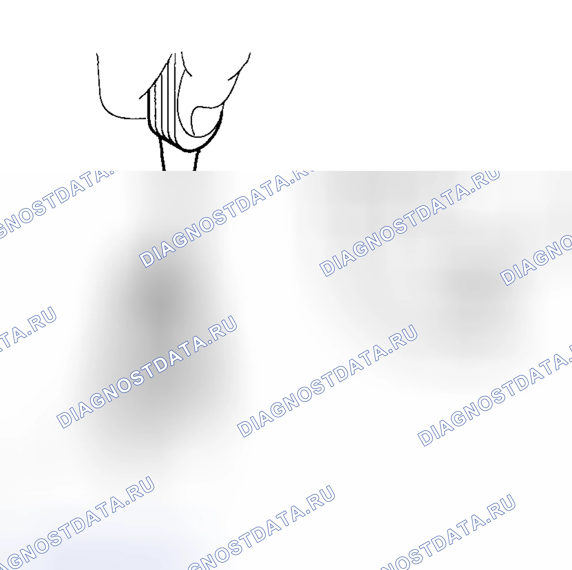 Рис. 5. Haval Chitu I