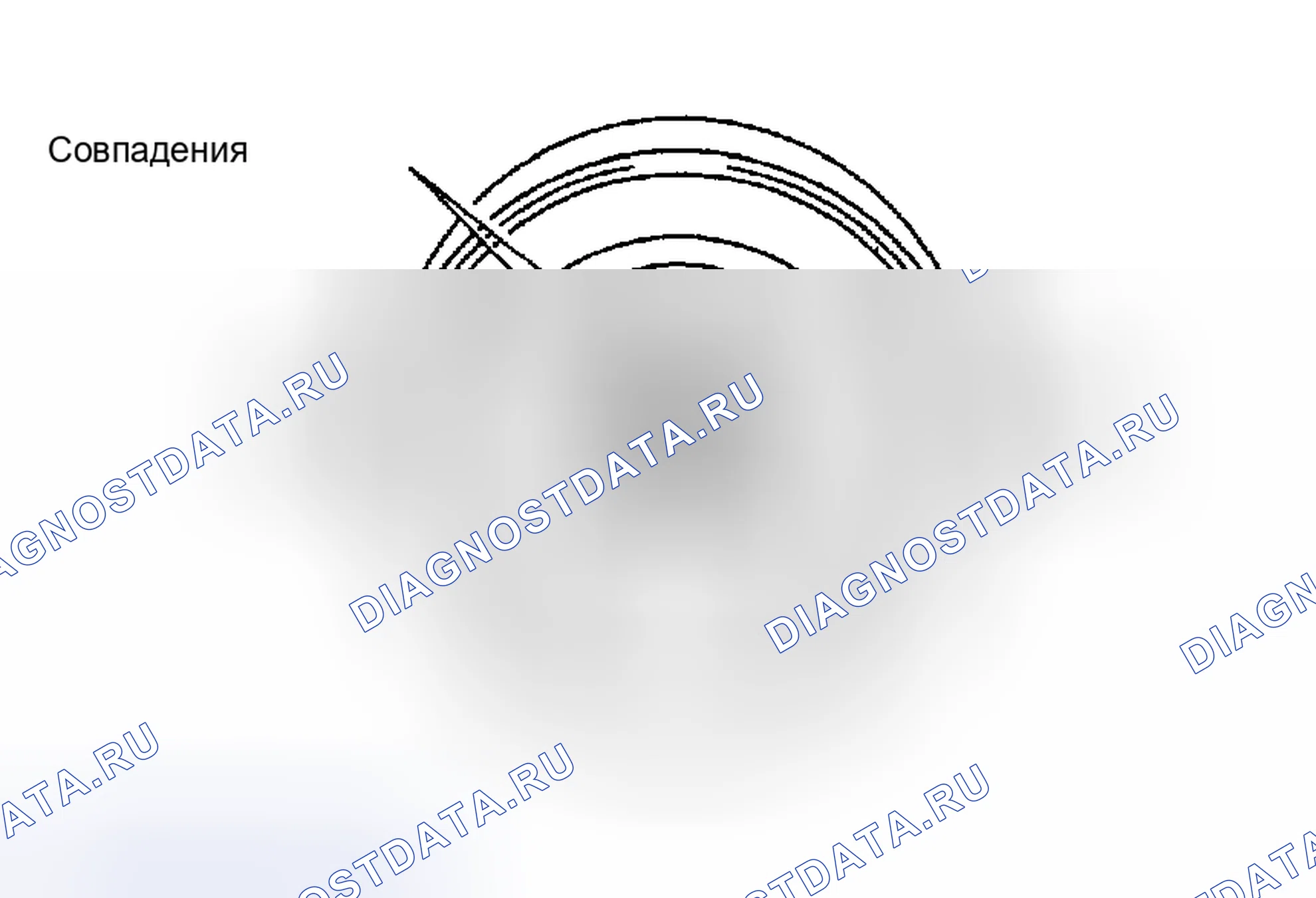 Рис. 97. Toyota Tacoma II