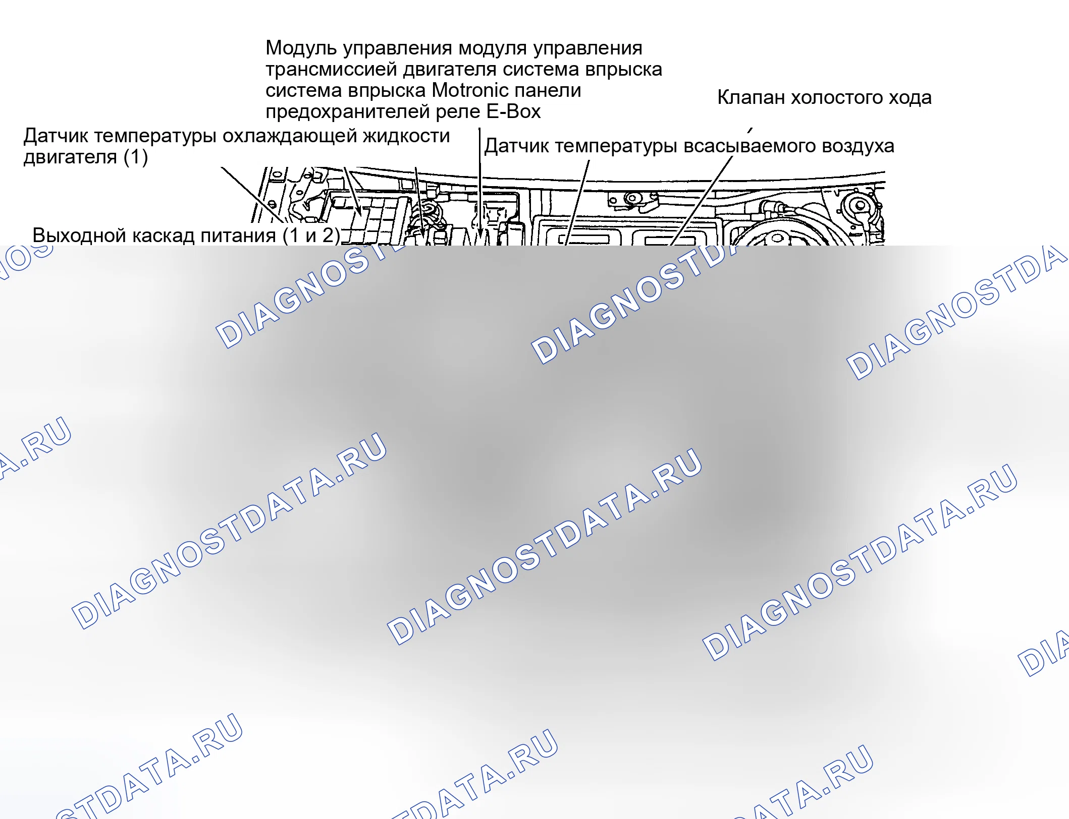 Рис. 1: ГРАФИКИ РАСПОЛОЖЕНИЯ КОМПОНЕНТОВ. Audi S8 D2 рестайлинг
