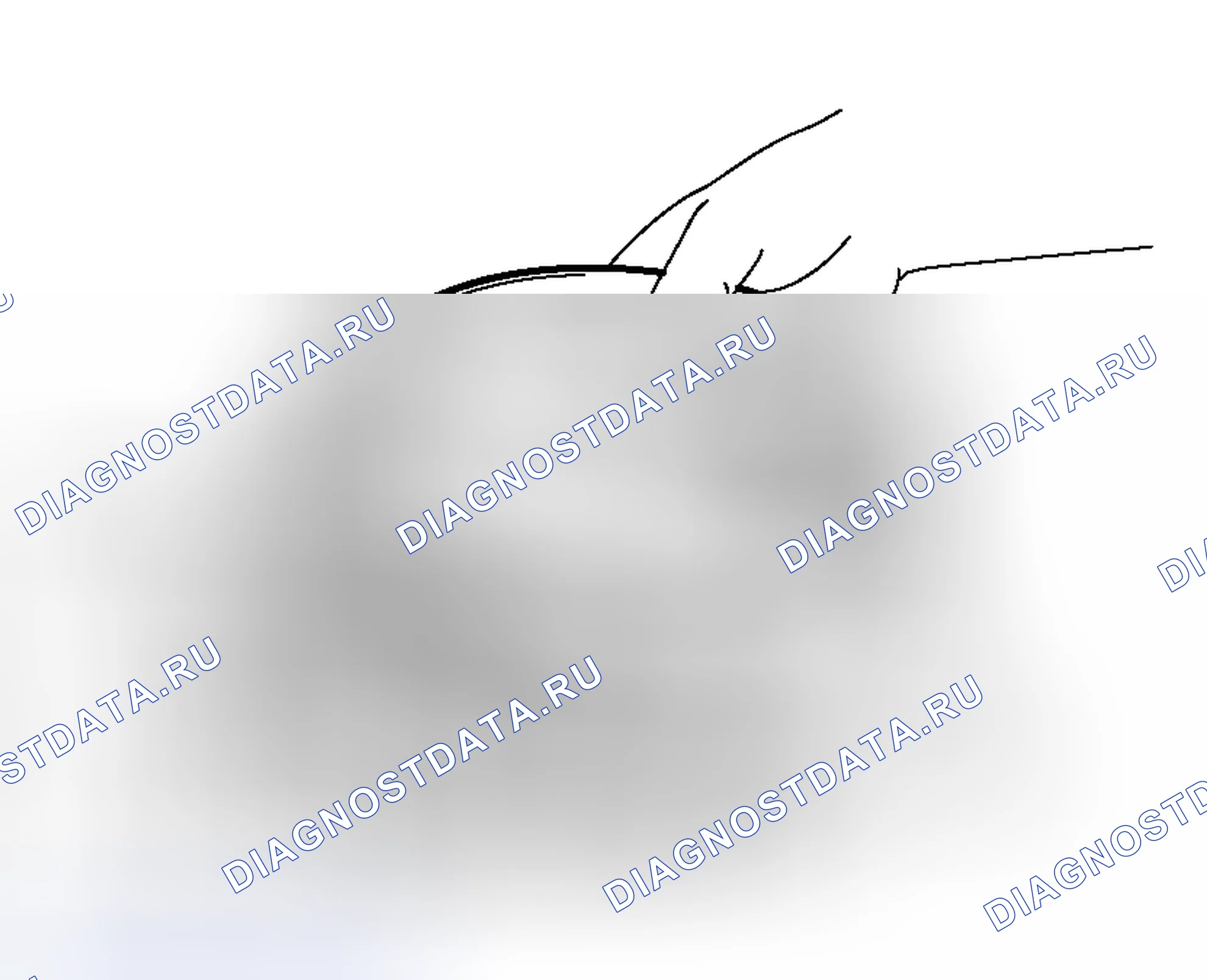Рис. 467. Honda Envix I
