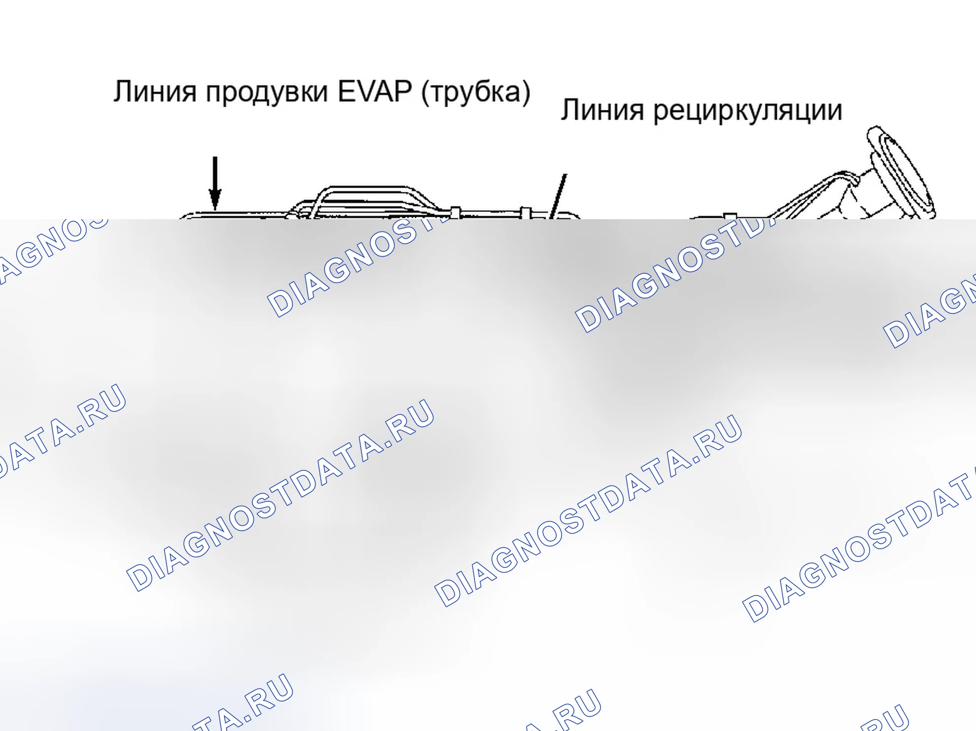 Рис. 44. Infiniti G20 II