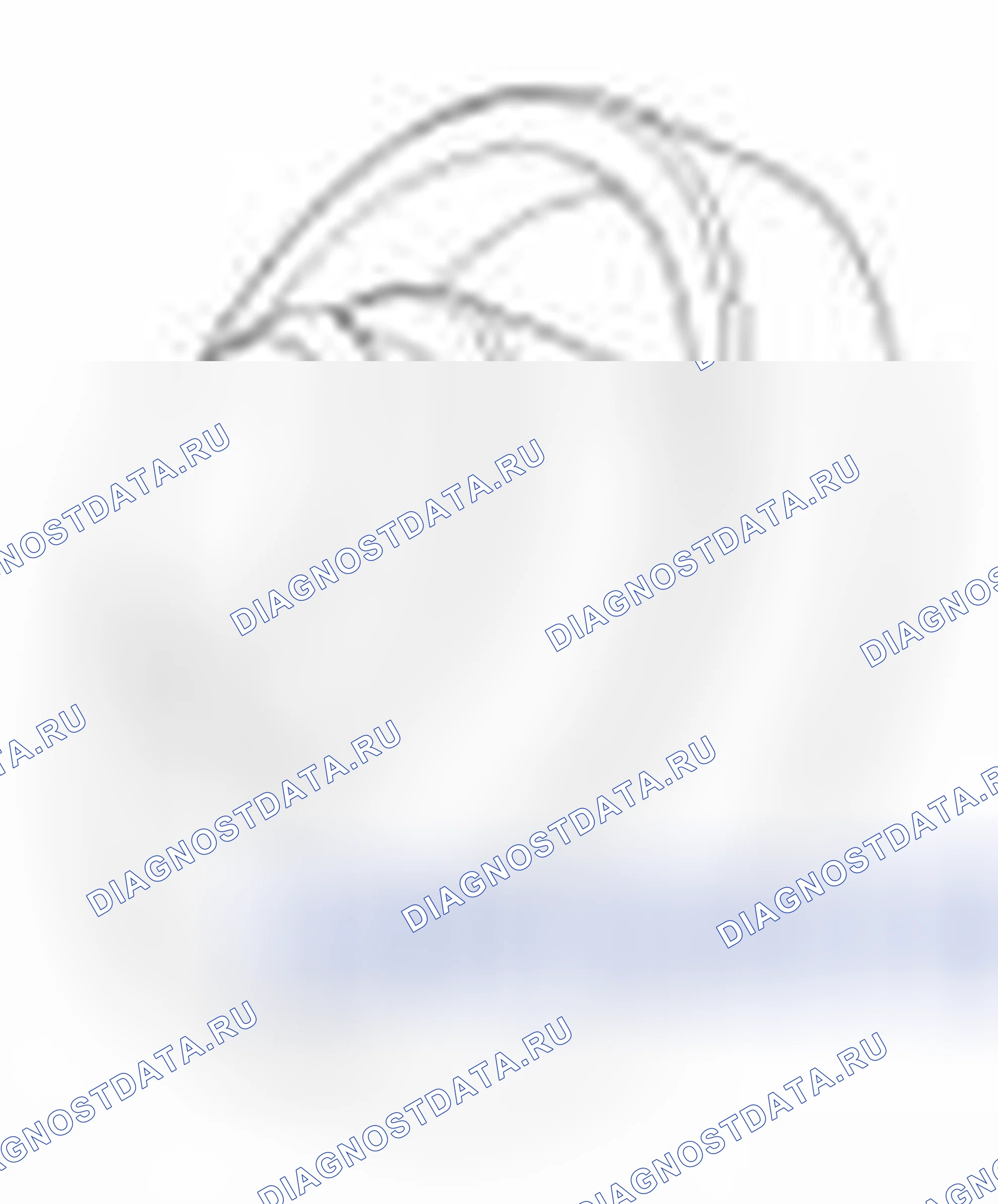 Рис. 2. Geely SC7 I