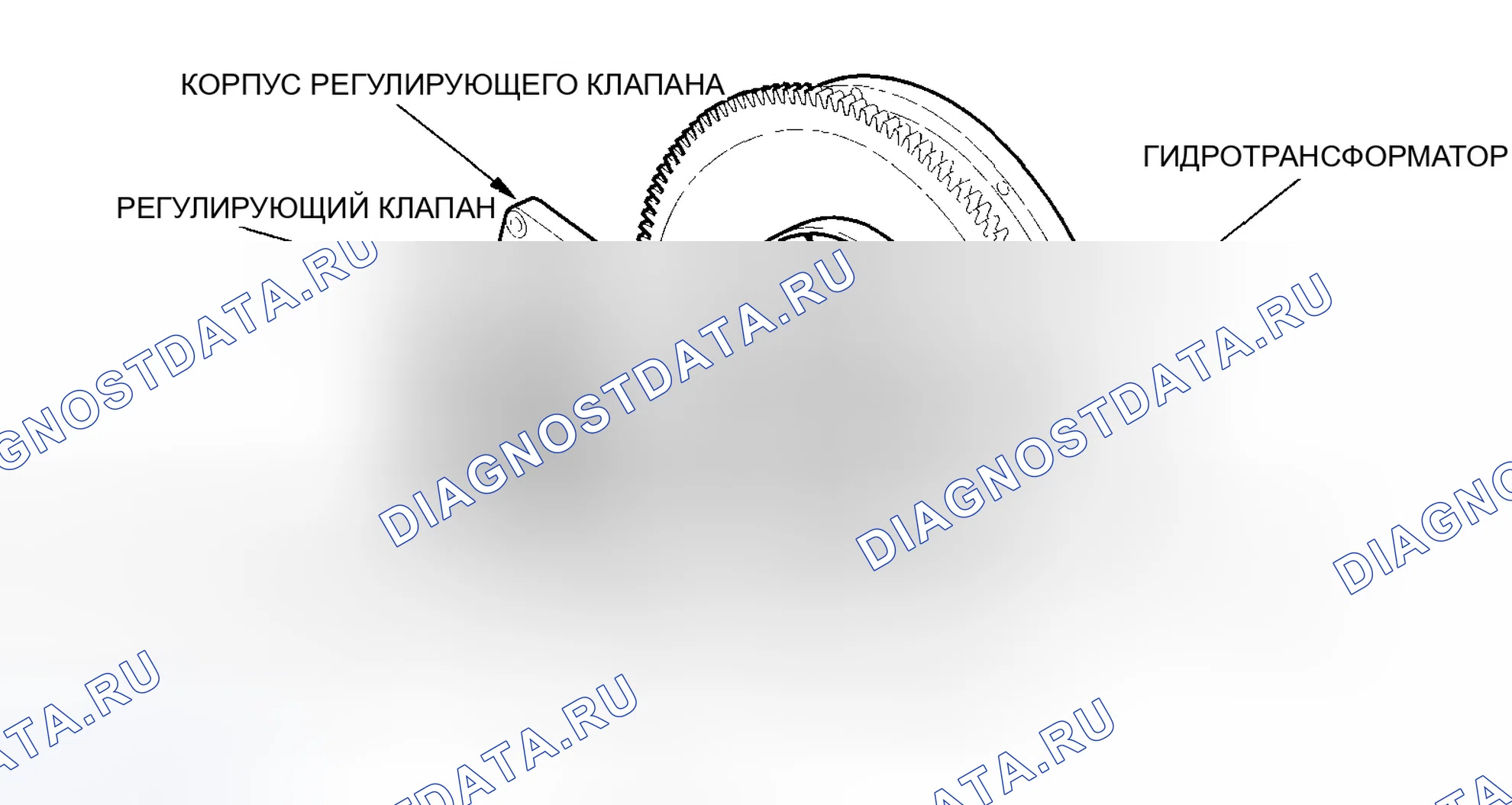 Рис. 891. Honda Accord VII рестайлинг