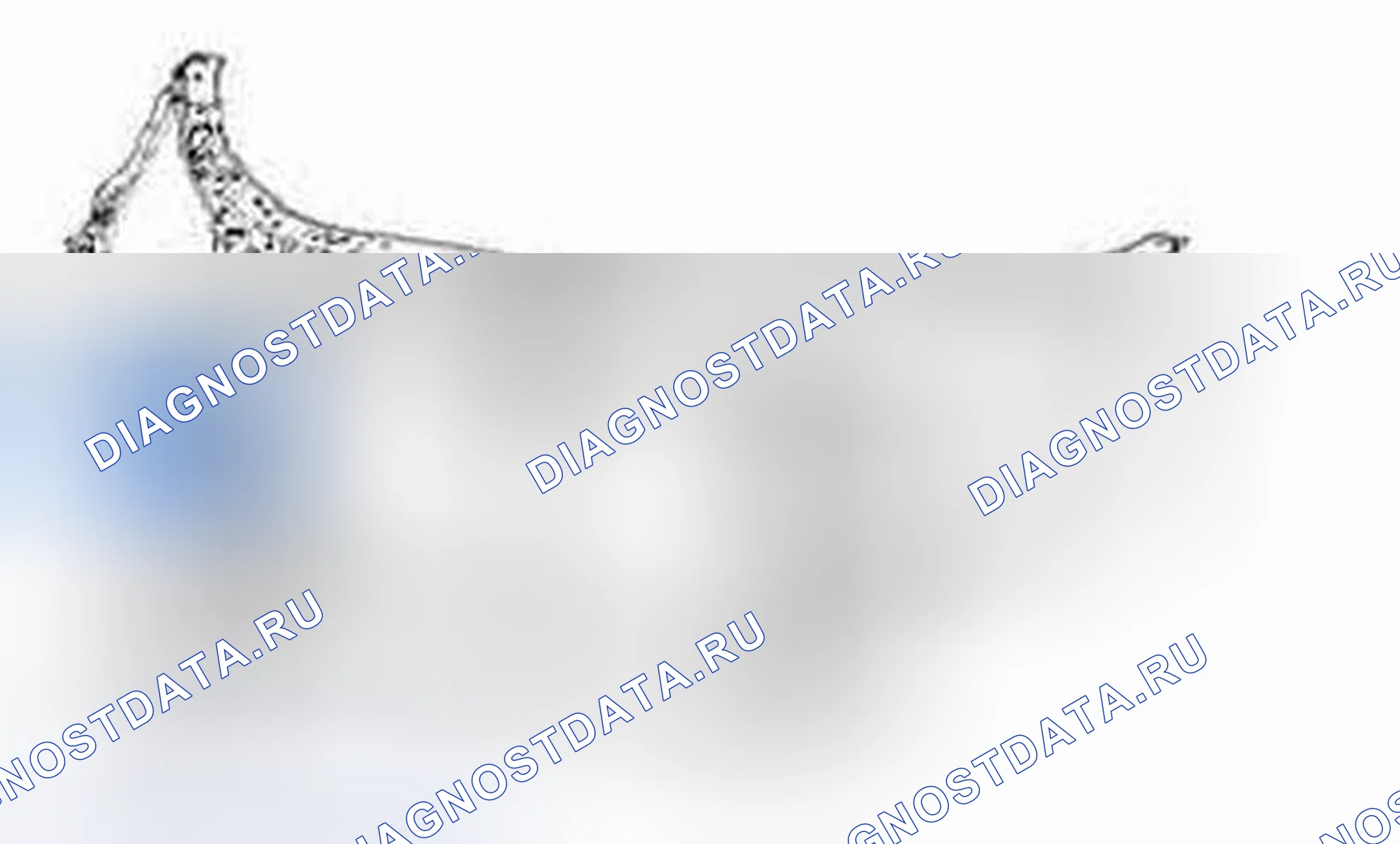 Рис. 219: Расположение компонентов. Hyundai Genesis I рестайлинг