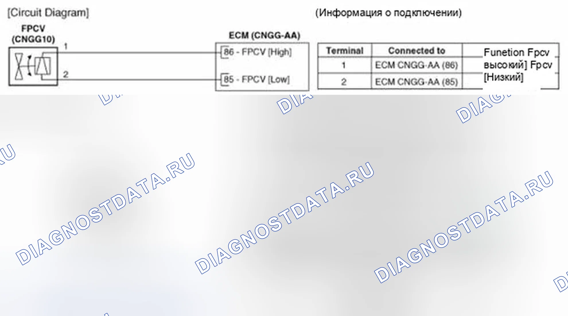 Рис. 235: (A / T). Hyundai Veloster I
