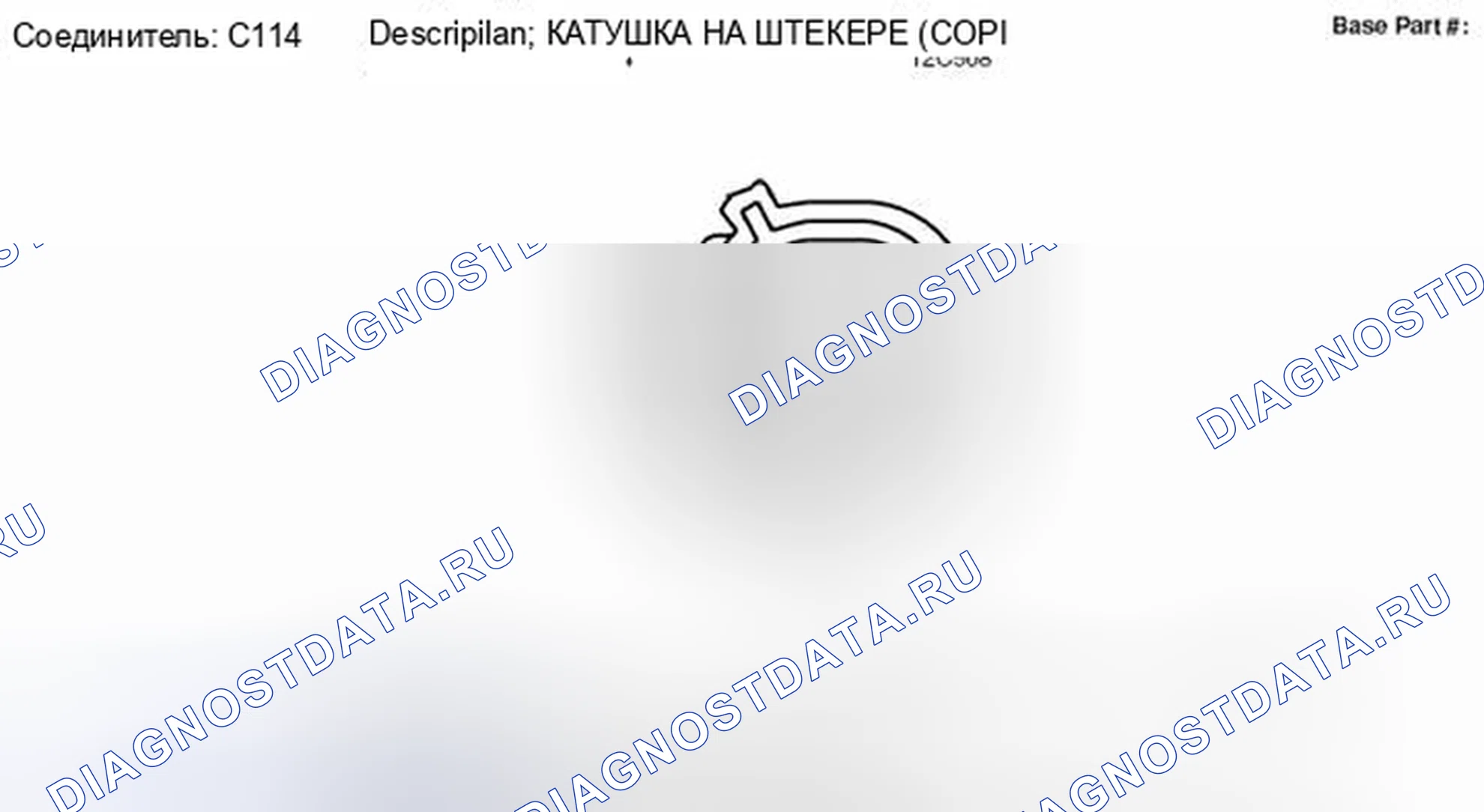 Рис. 15: Вид с торца разъема катушки на штекере 4 (C114). Hyundai Lafesta I рестайлинг