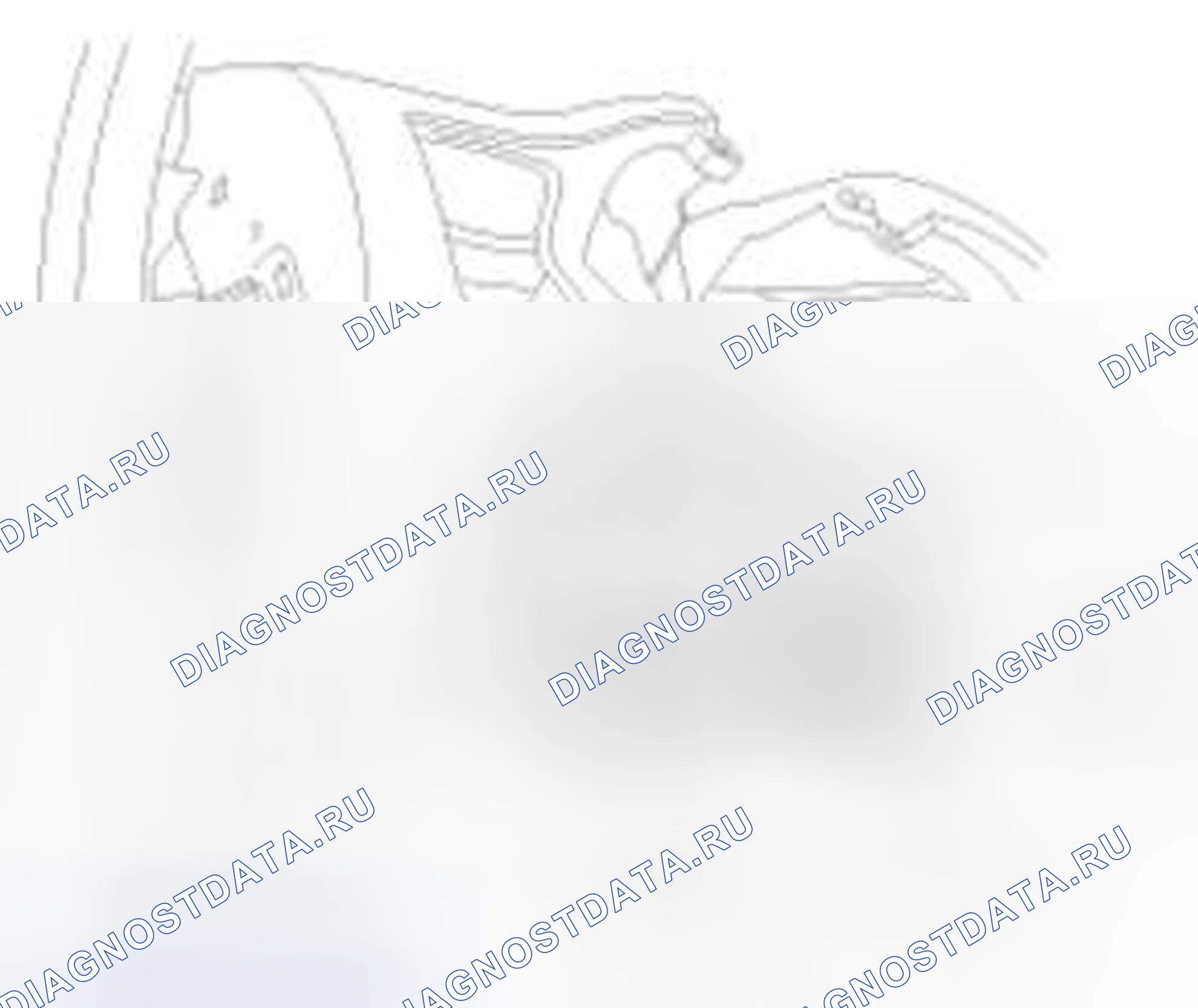 Рис. 14: Контроль. Haval Beast (Shenshou) I