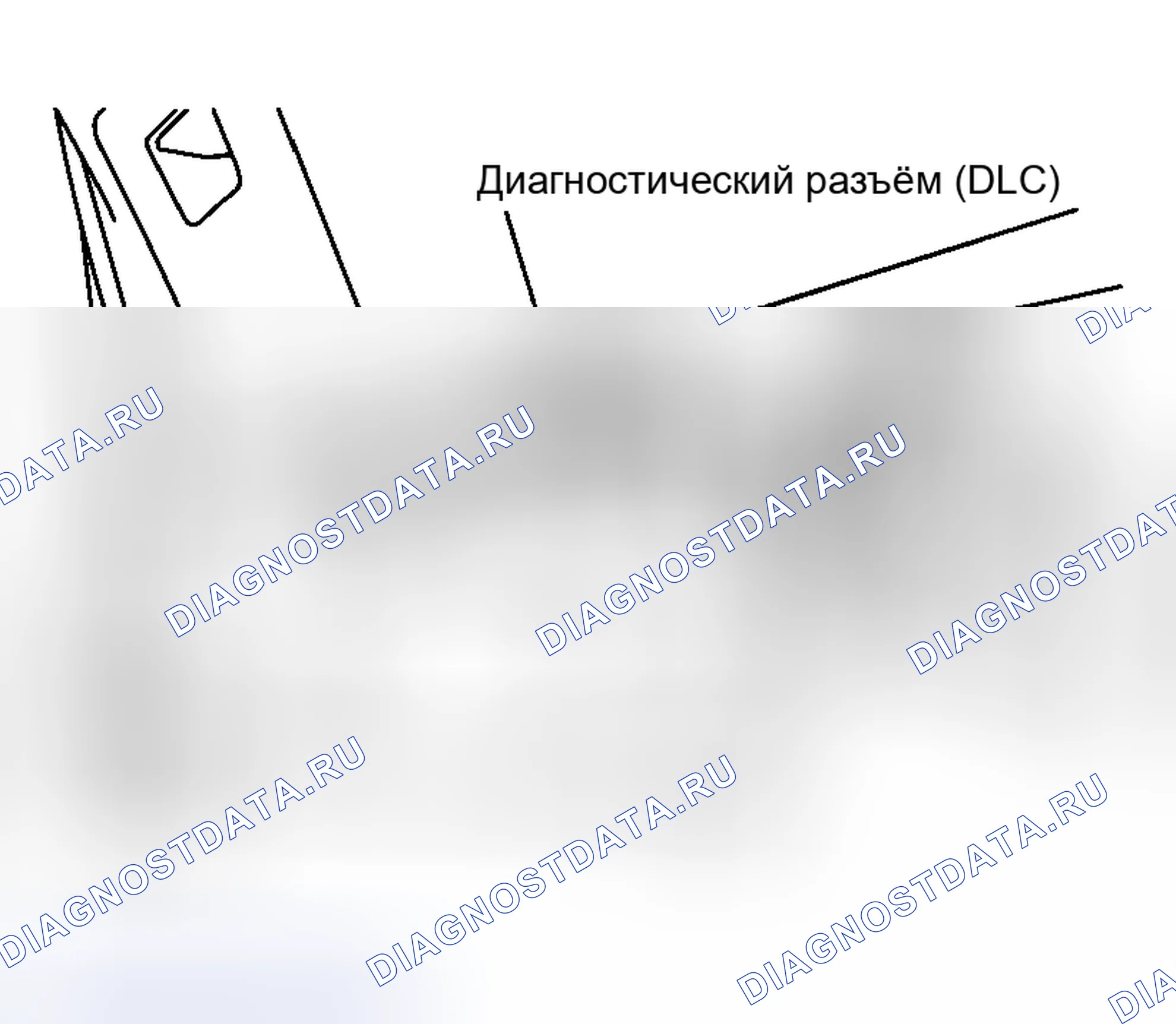 Рис. 6. Nissan Murano Z50
