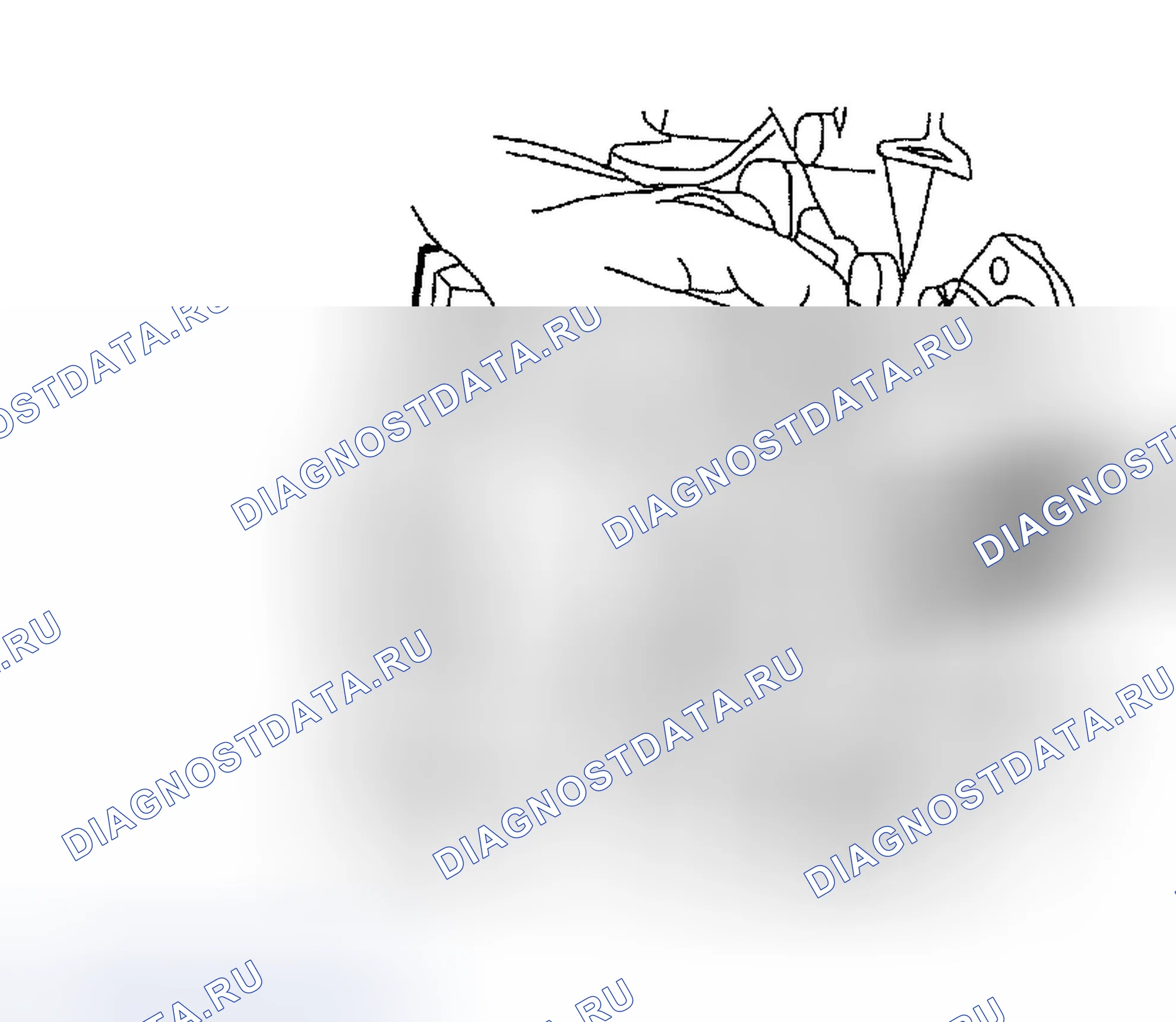 Рис. 356. Ford Escape I рестайлинг
