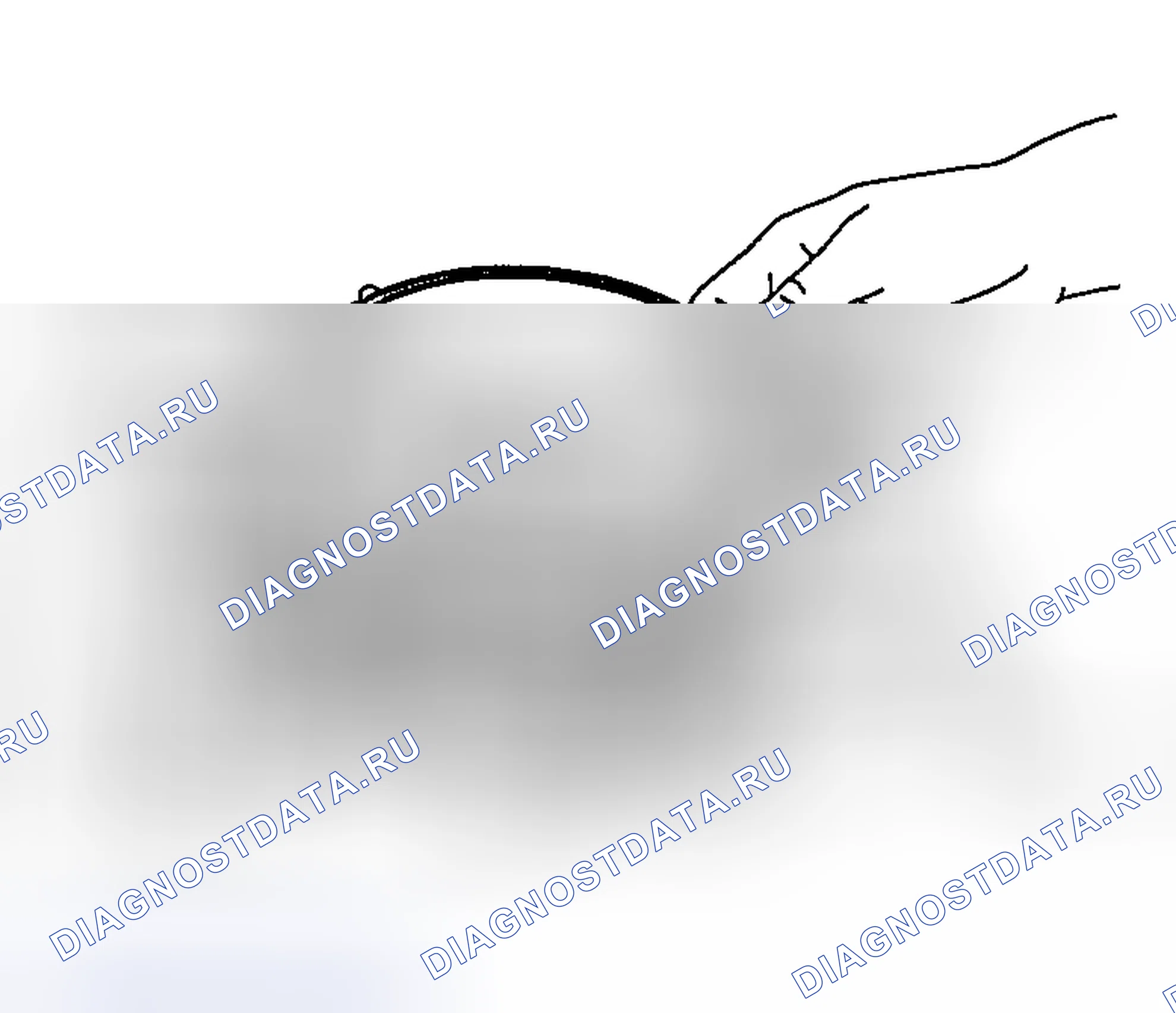 Рис. 2267. Honda Edix I