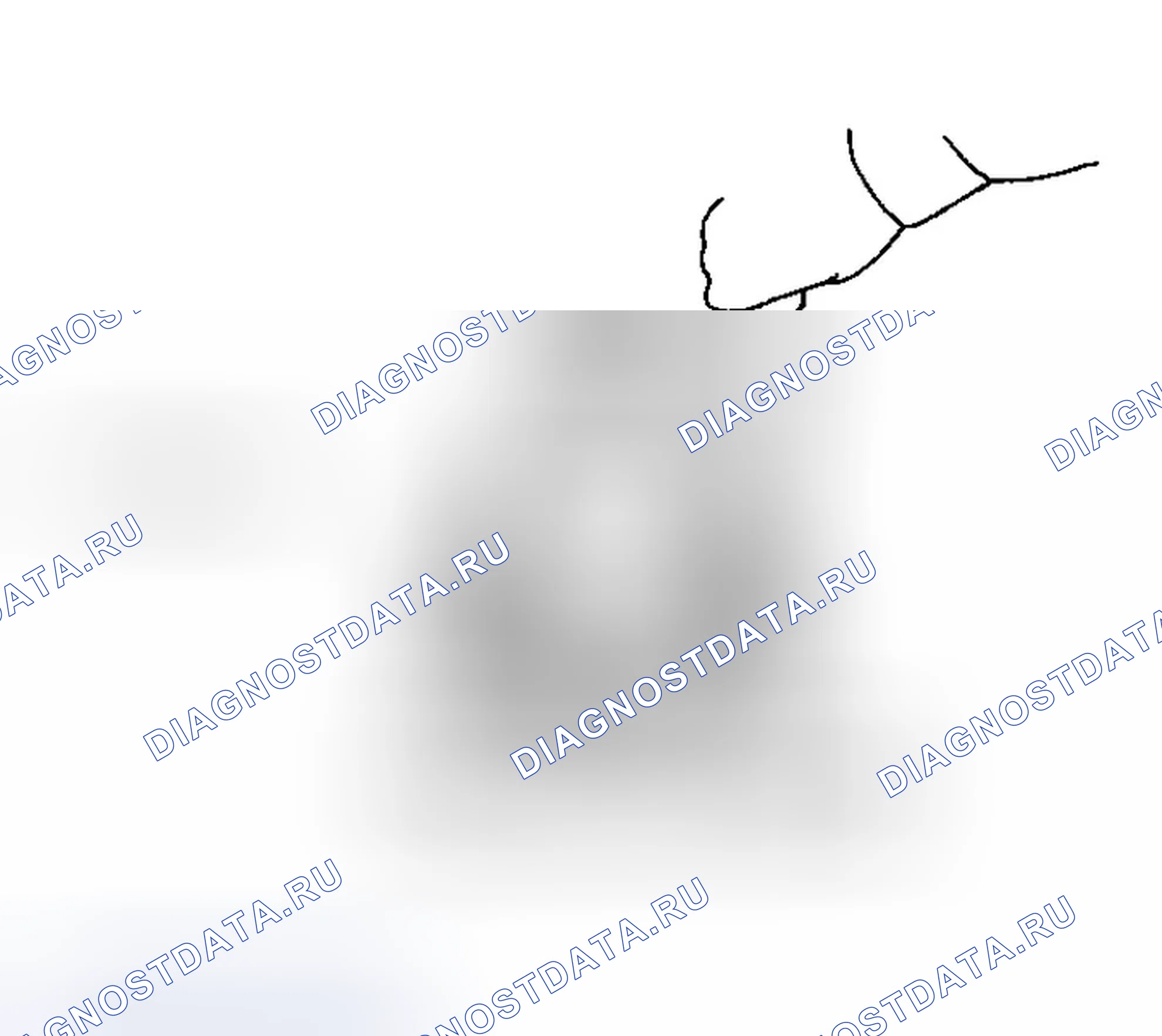 Рис. 165. Infiniti G35 III
