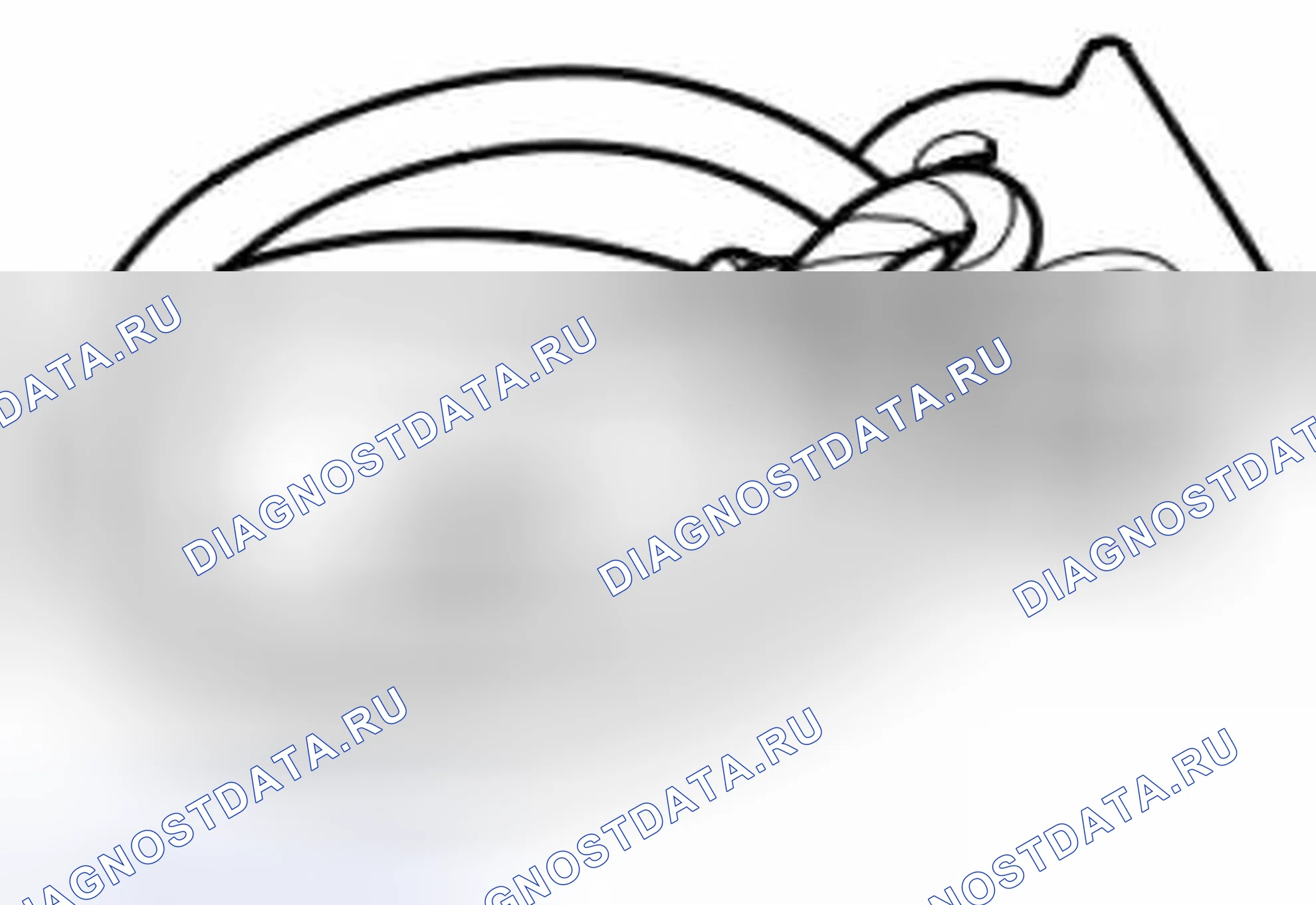 Рис. 438: 87 92 442 Подъемный трос. Kia Picanto III