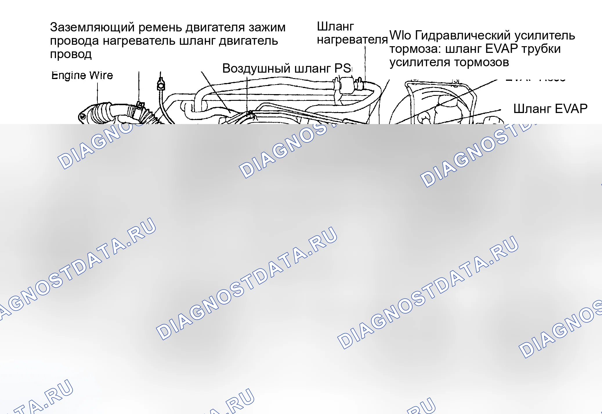 Рис. 219. Toyota Sequoia I