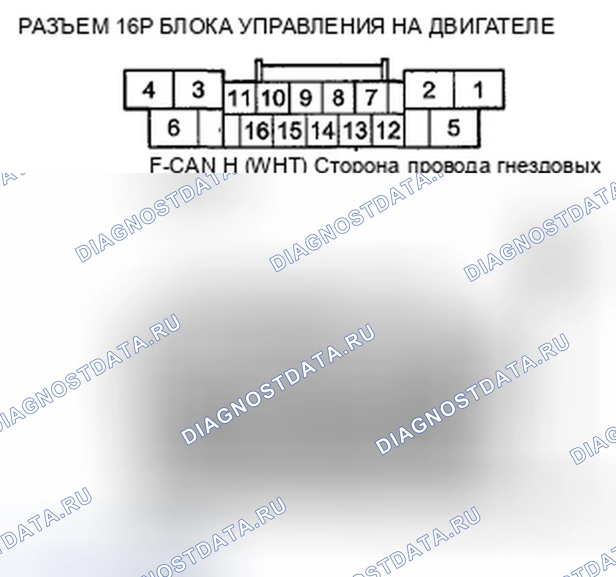 Рис. 73. Honda Crosstour I