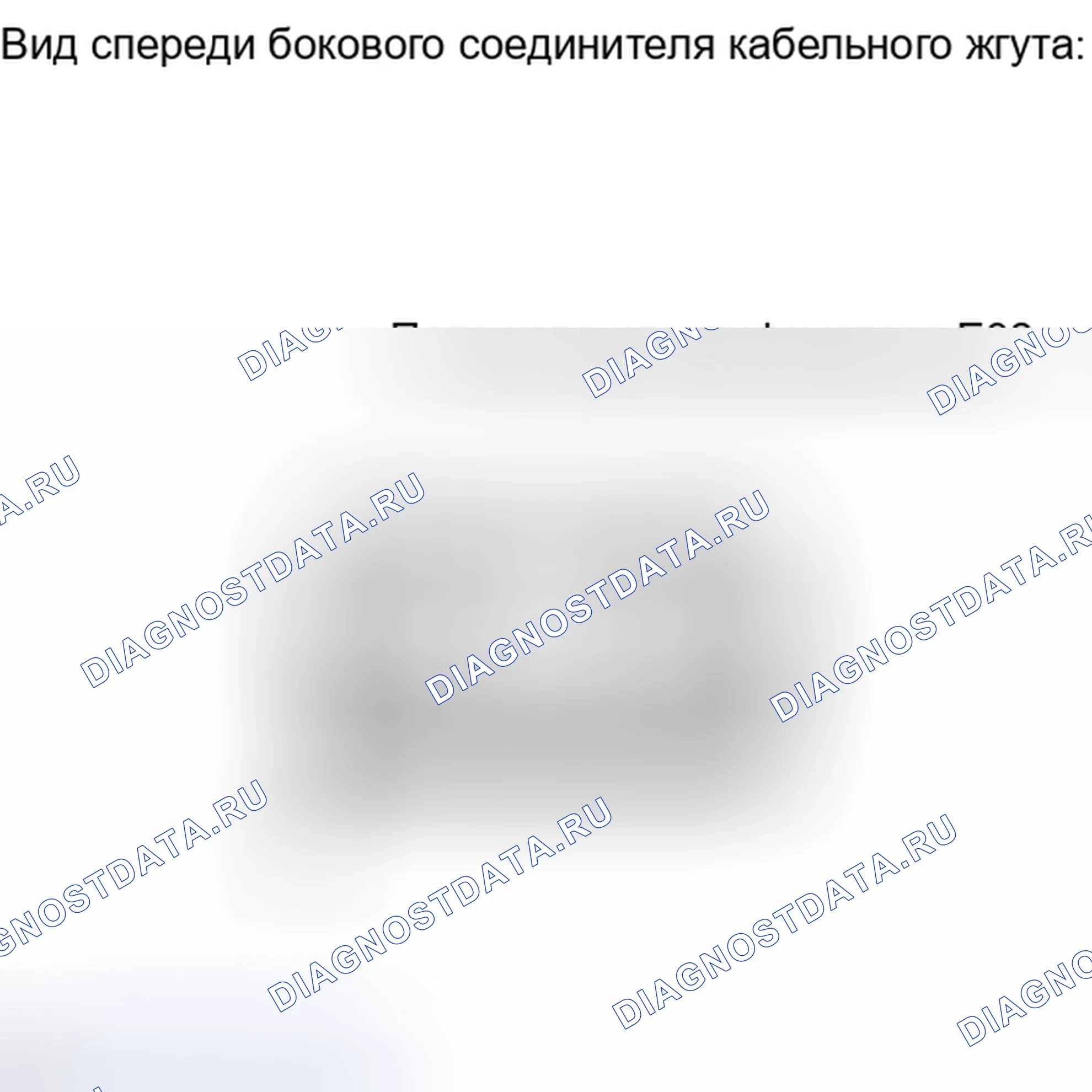 Рис. 39: ПОРЯДОК ВЫПОЛНЕНИЯ РАБОТ. Haval H4 I