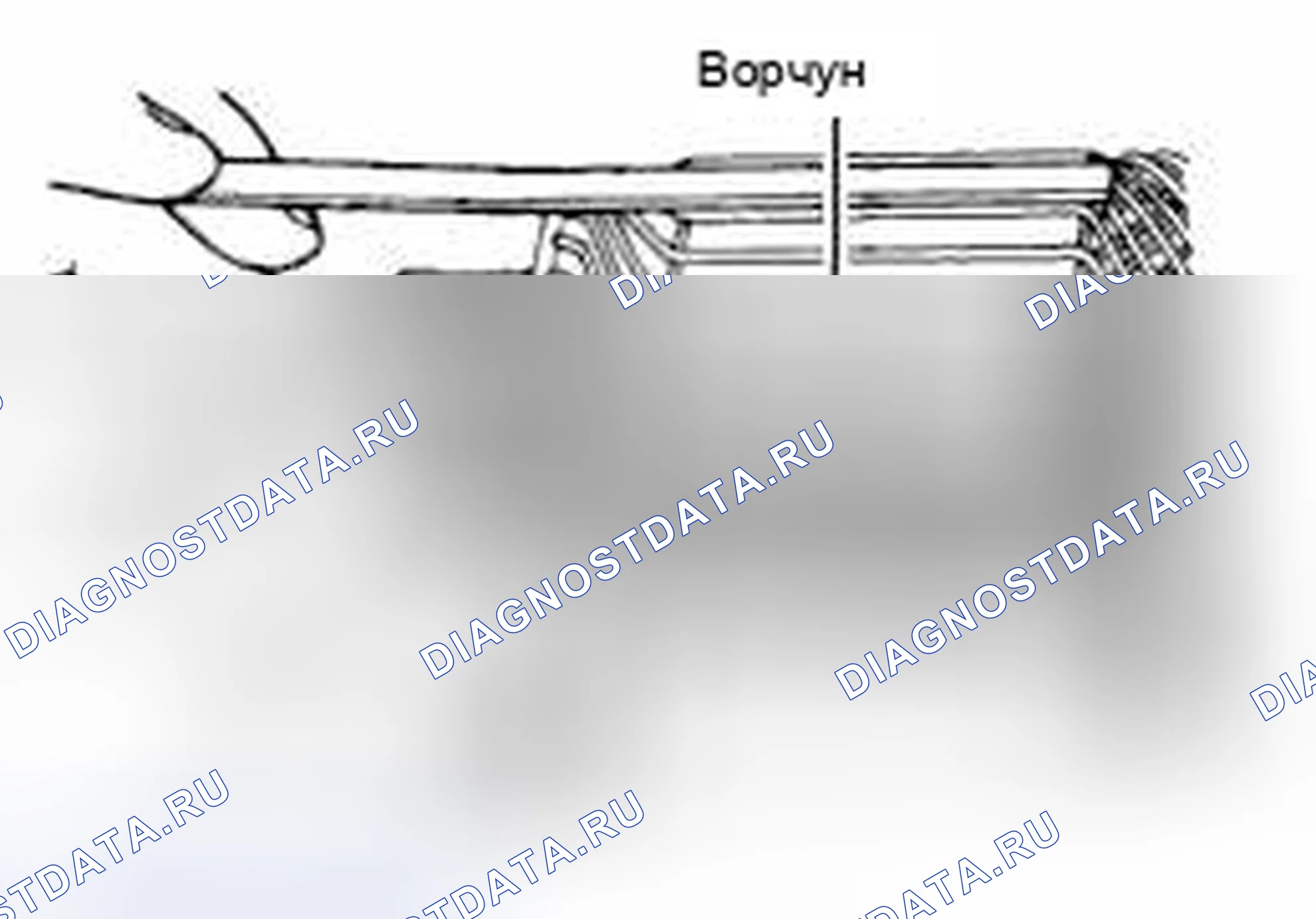 Рис. 29: КАТУШКА ЯКОРЯ. Honda e:NP1 I