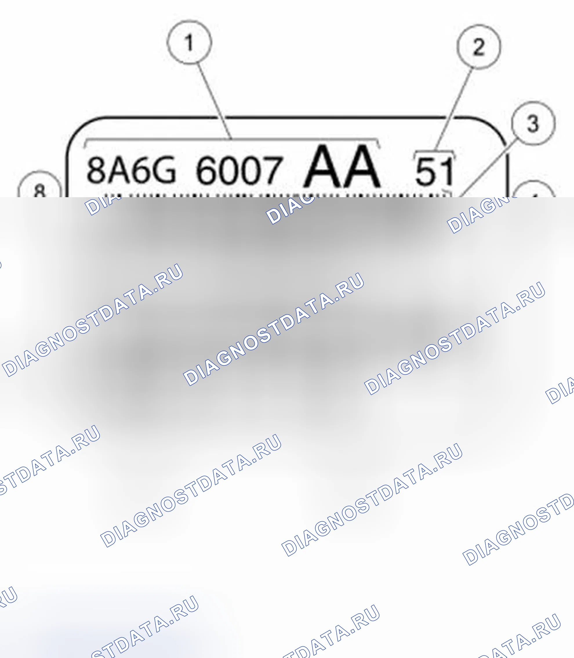 Рис. 156: Этикетка с информацией о коде двигателя. Ford Fiesta Mk6