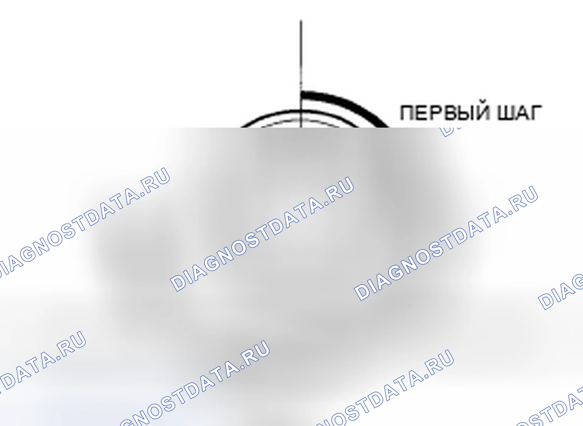 Рис. 338. Honda Accord VIII рестайлинг