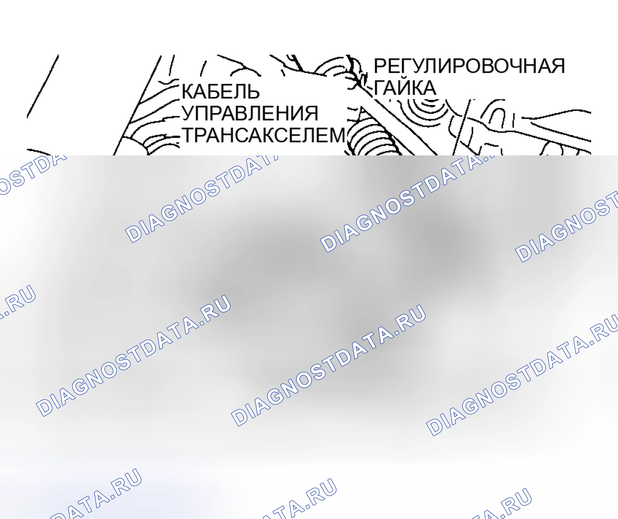 Рис. 534: > > C < < МОНТАЖ КАБЕЛЯ УПРАВЛЕНИЯ ТРАНСАКСЕЛЕМ (СО СТОРОНЫ трансмиссия). Honda Edix I