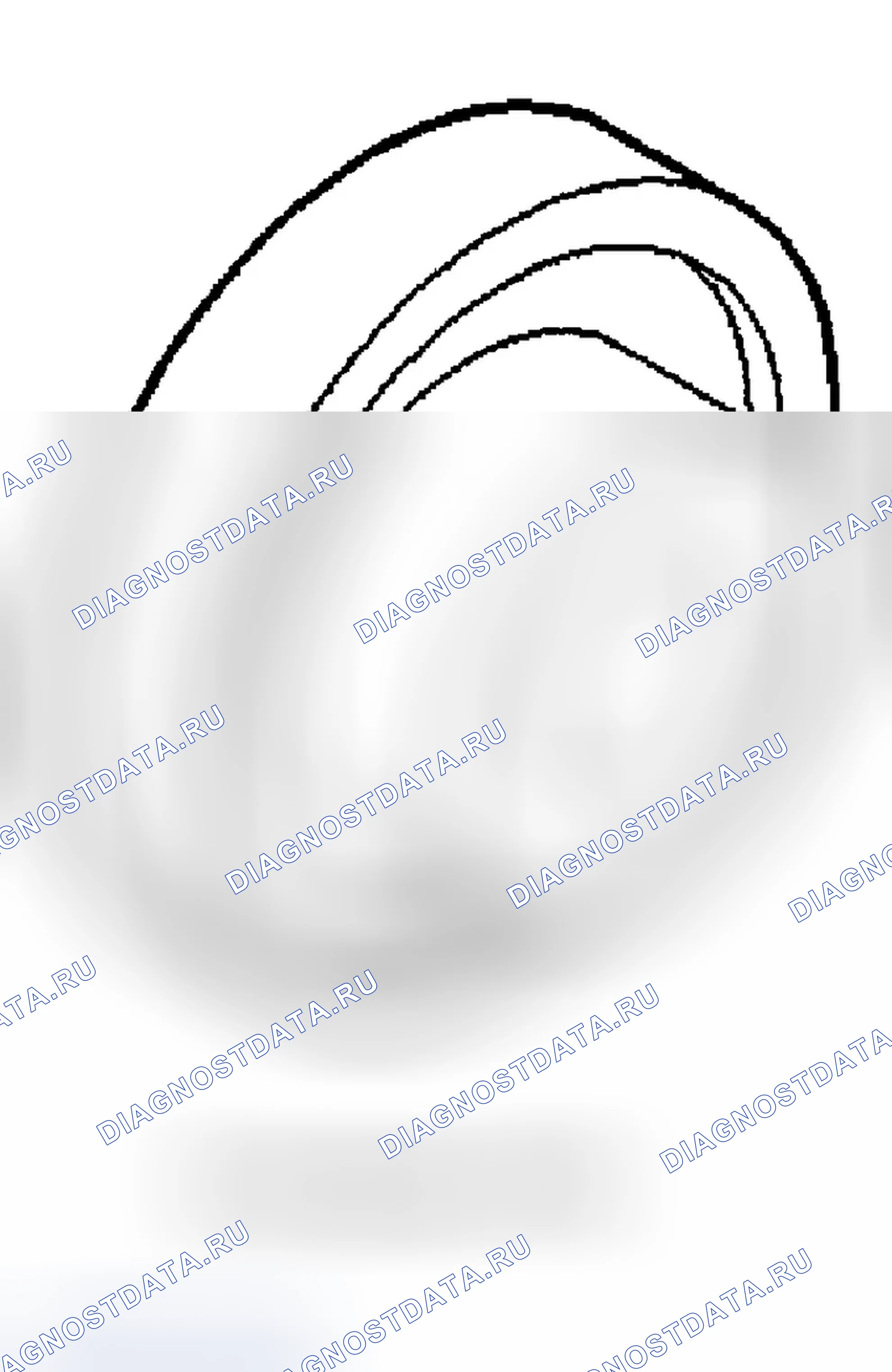 Рис. 507. Dodge Pickup R1500 