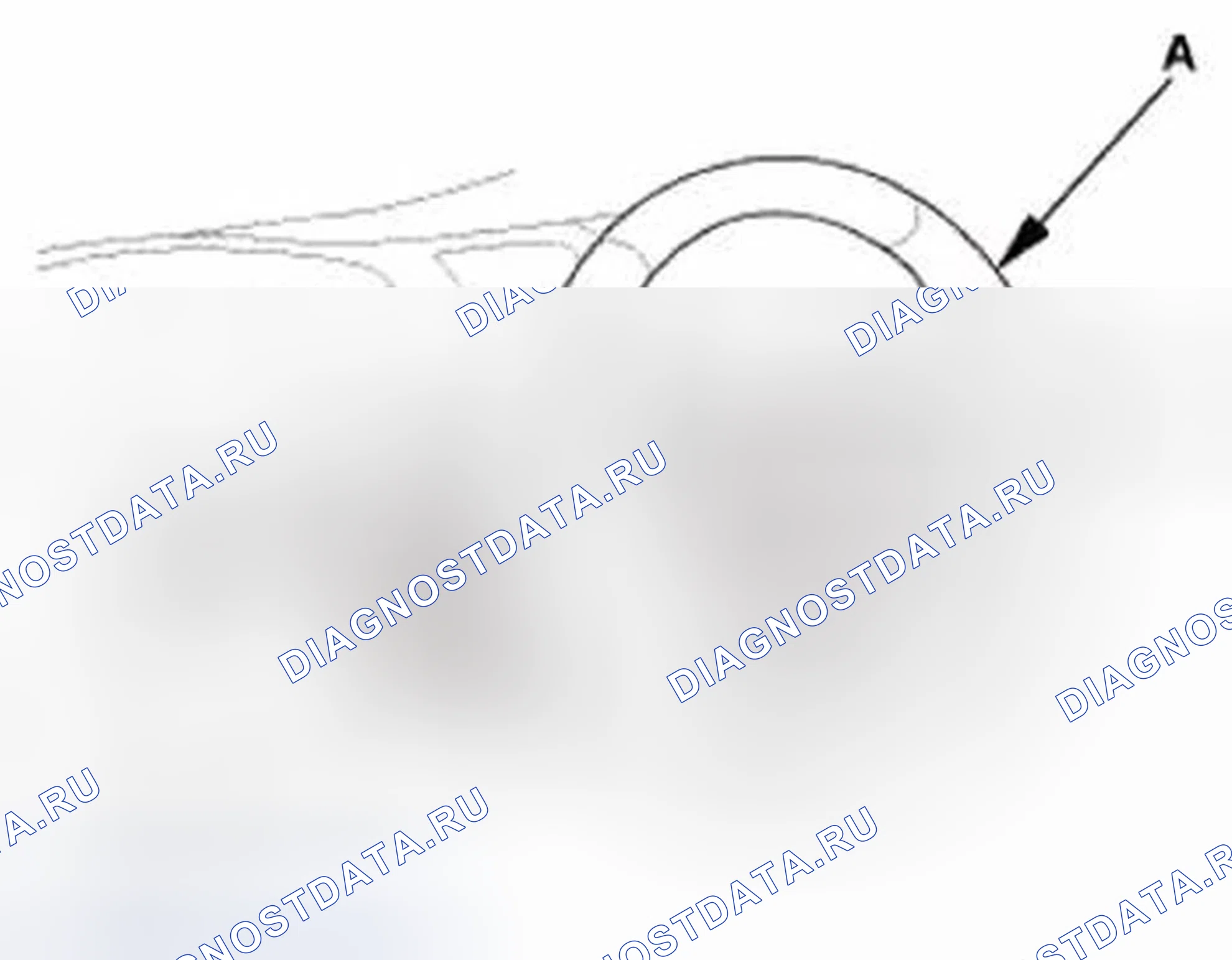 Рис. 193. Honda Civic IX