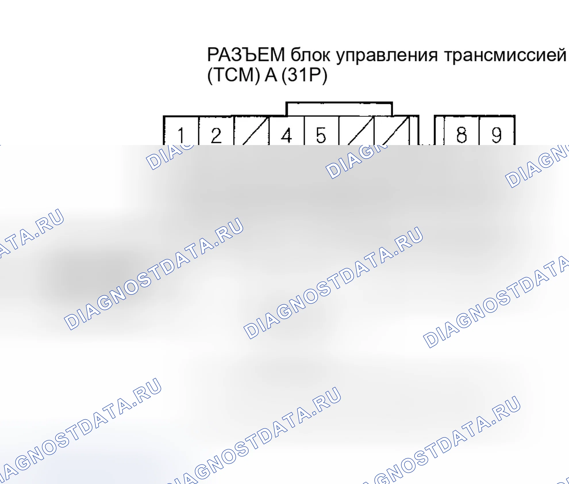 Рис. 1161. Honda Civic VII рестайлинг