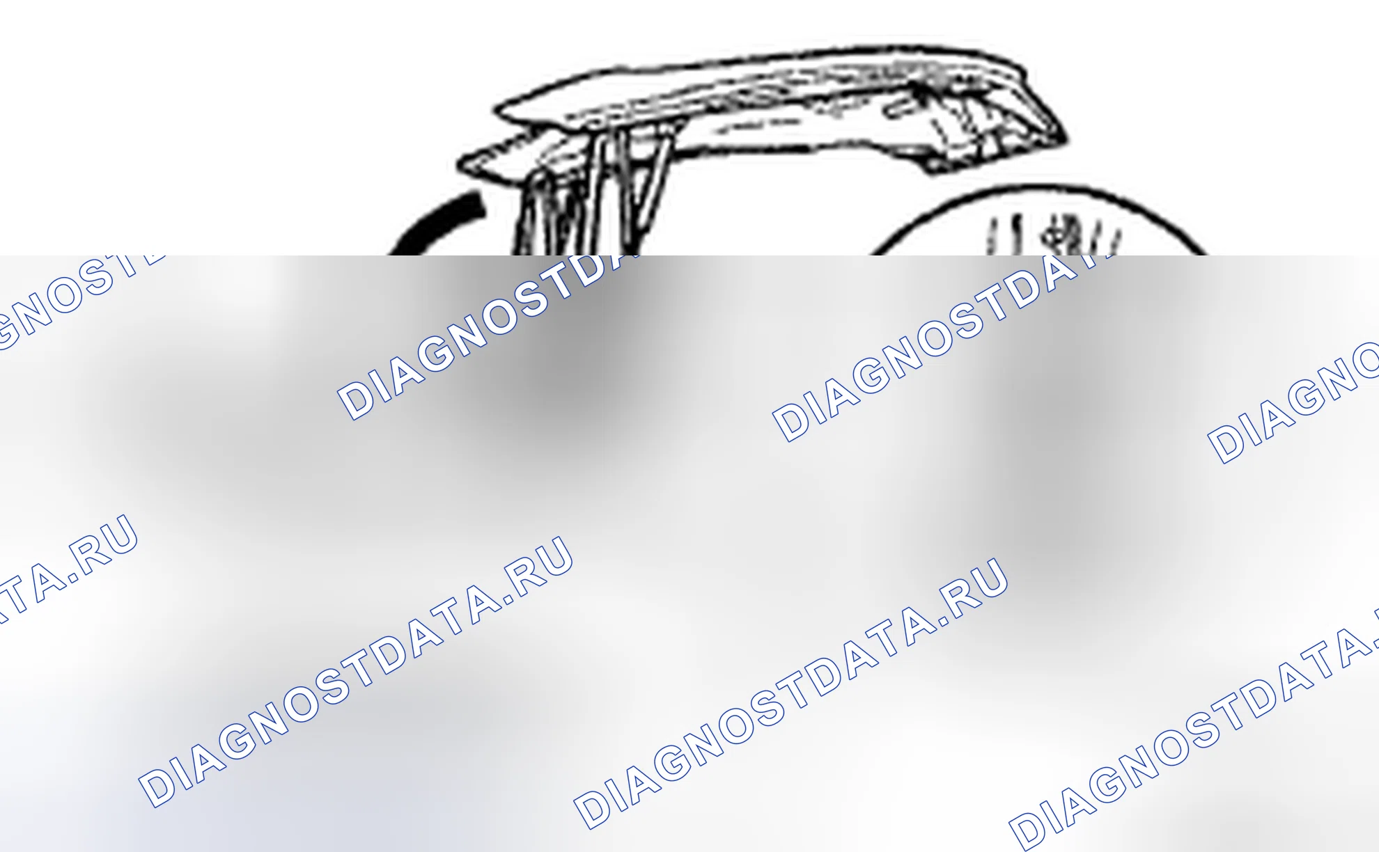 Рис. 13. Honda CR-V VI