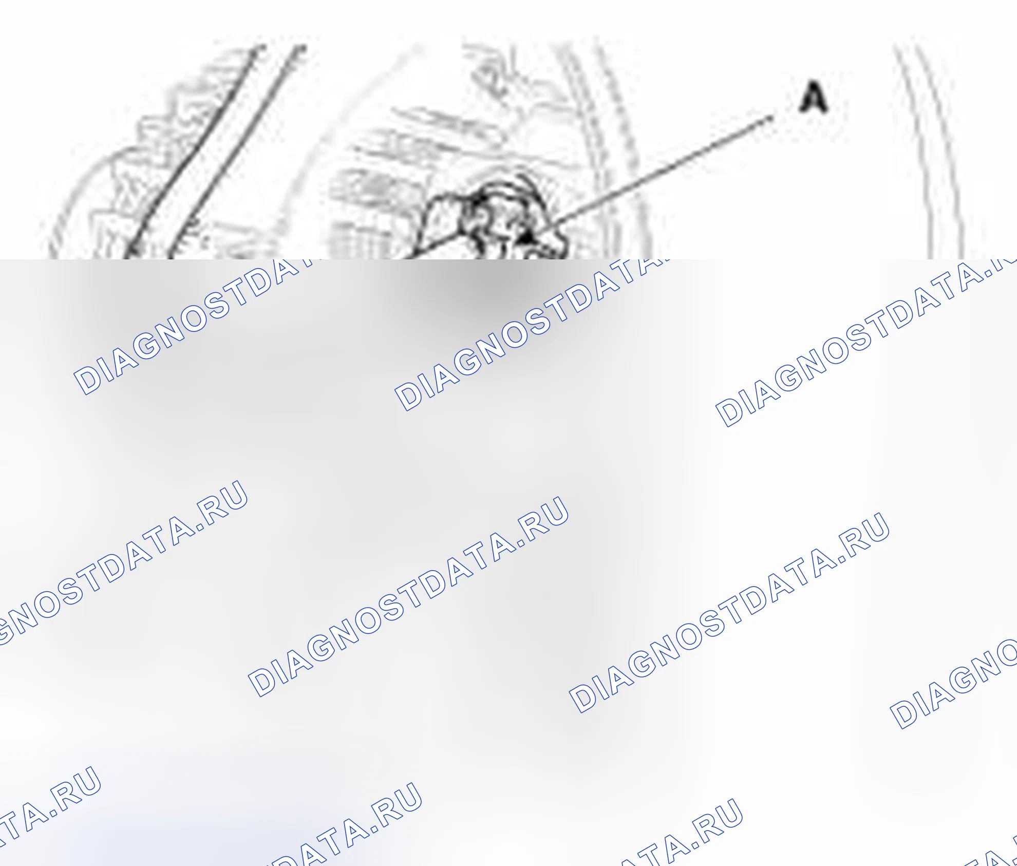 Рис. 146. Geely Vision X3 Pro I