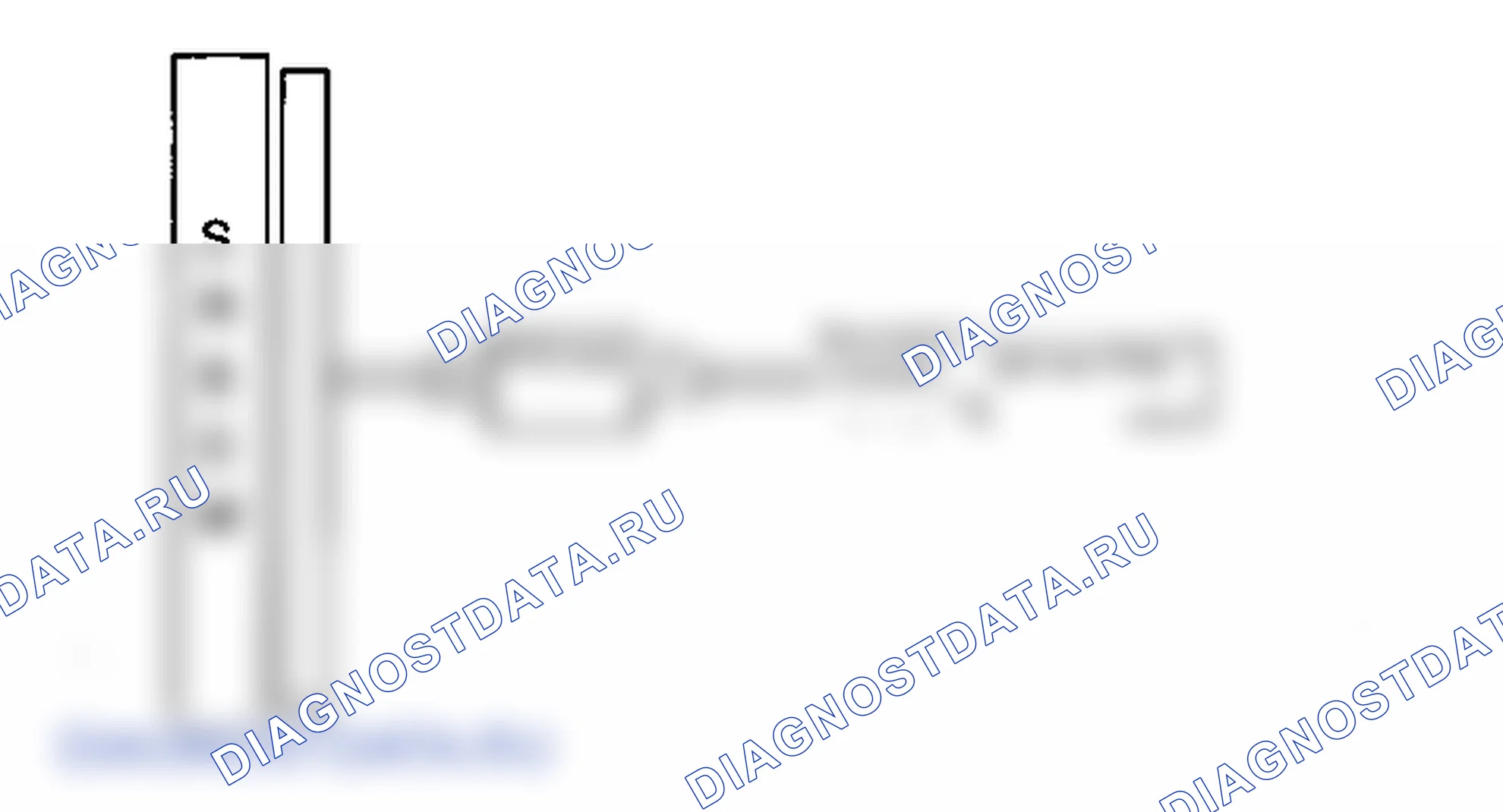 B1101. Hyundai Accent LC