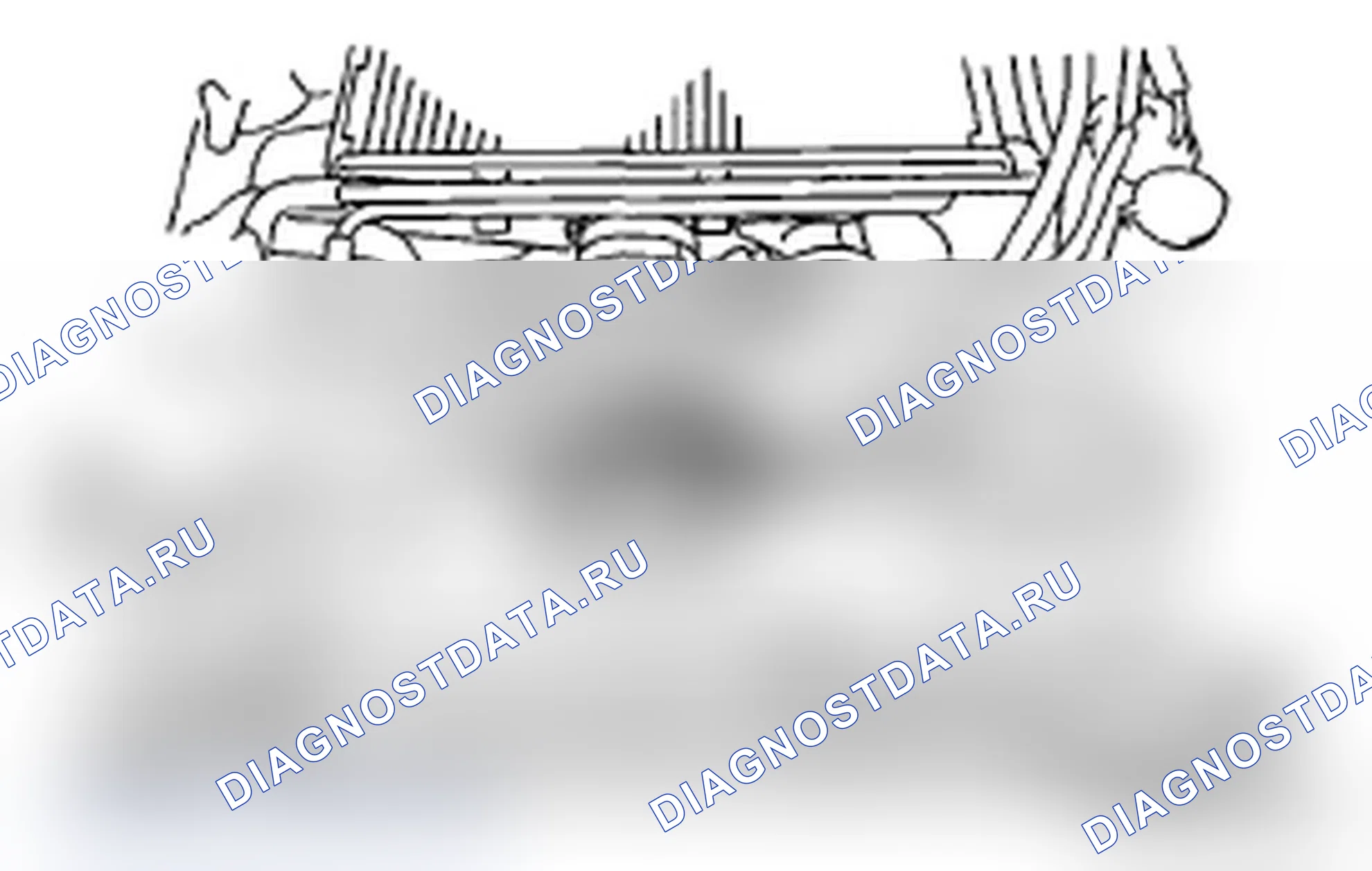 Рис. 5. Subaru Impreza WRX GD/GG рестайлинг 2
