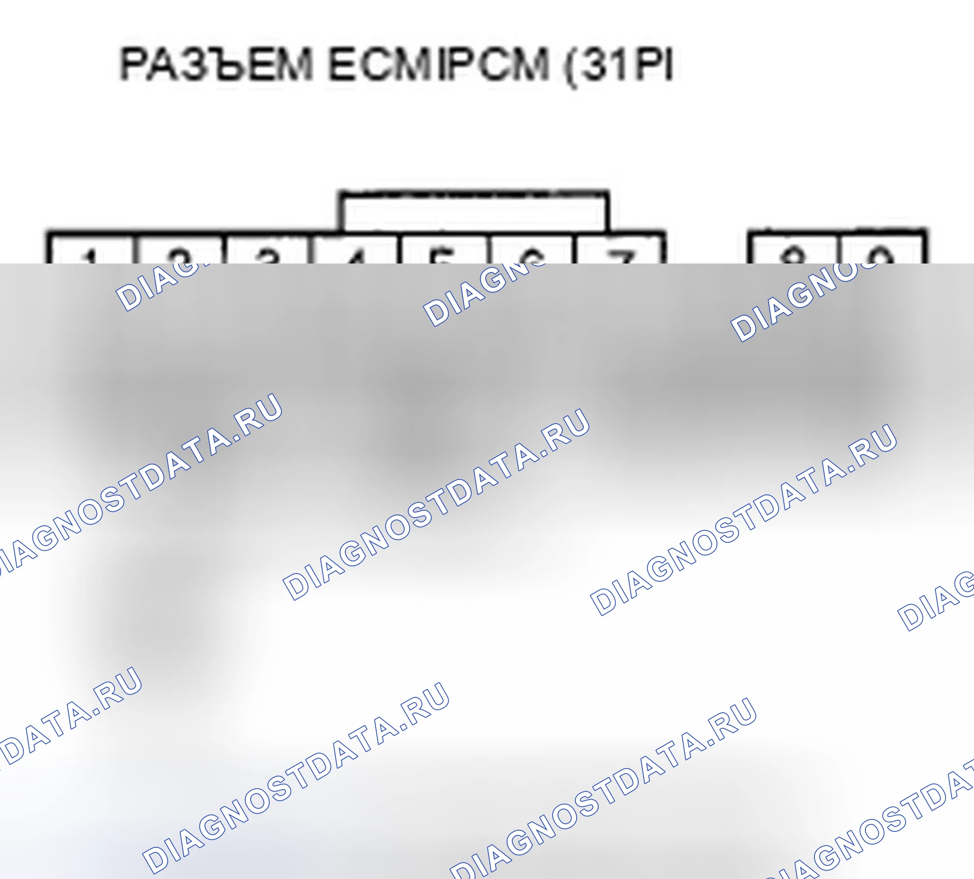 Рис. 378. Honda Element YH2 рестайлинг 2