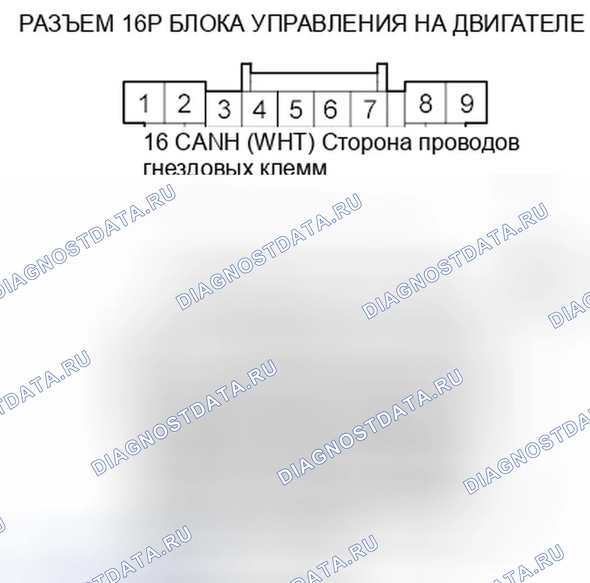 Рис. 369: расшифровка кода ошибки U1101: Неисправность F-CAN (блок управления силовым агрегатом (PCM) (блок управления силовым агрегатом)-ACM) (двигатель J35A7 (' 08-10 модели)). Honda Odyssey IV