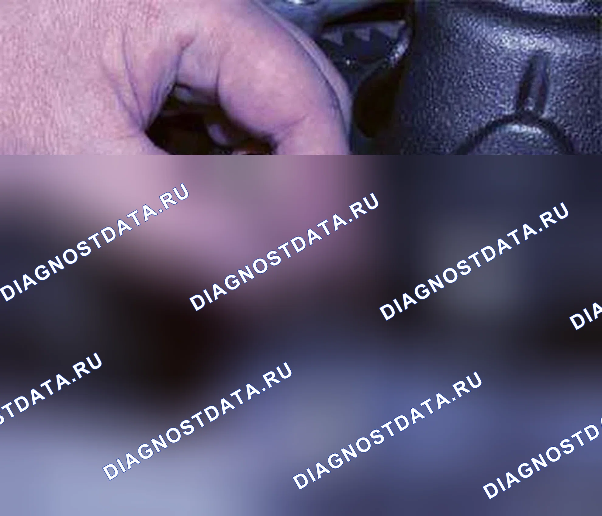 Рис. 193. Dodge Dart PF