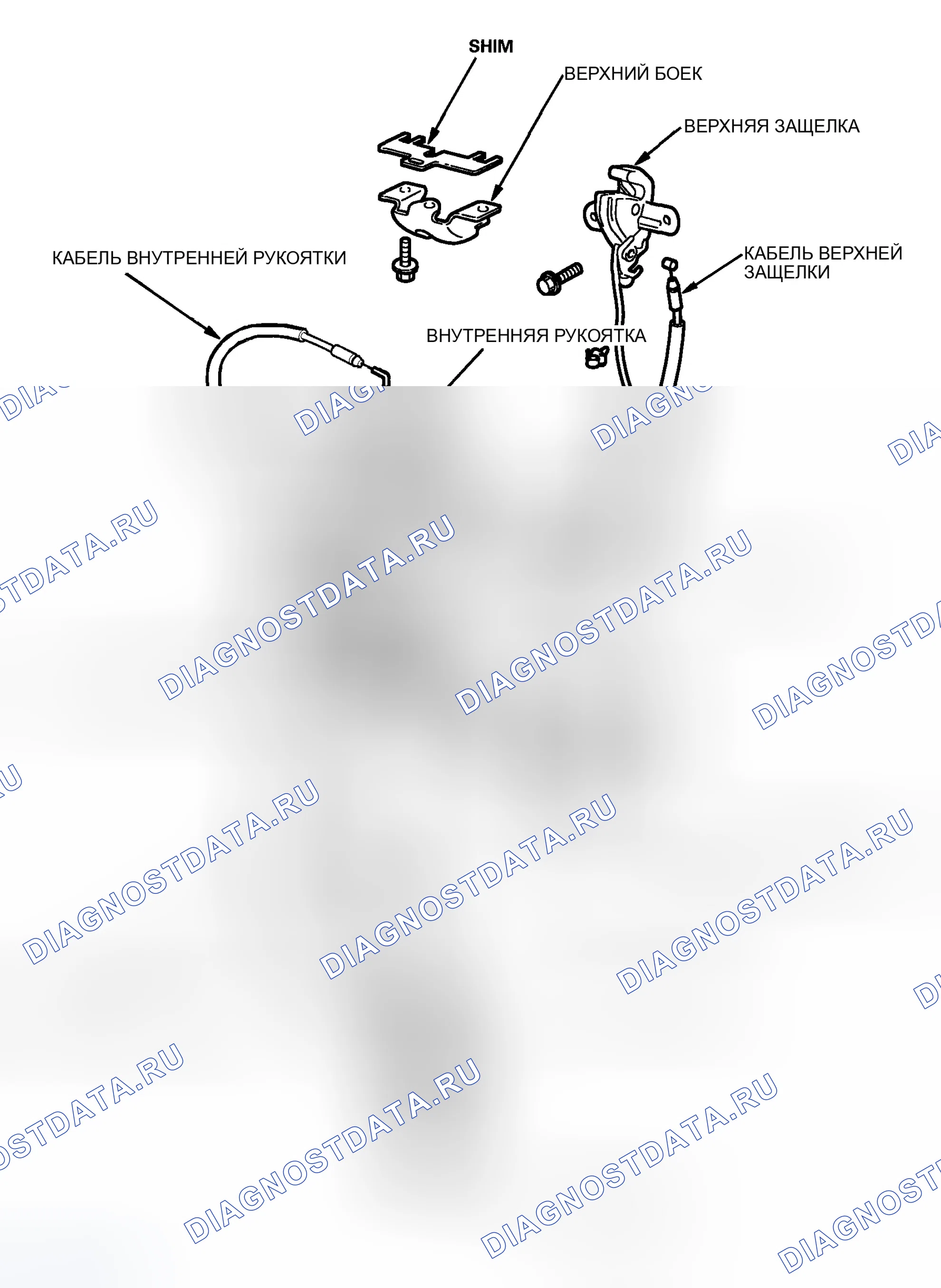 Рис. 4. Honda Element YH2