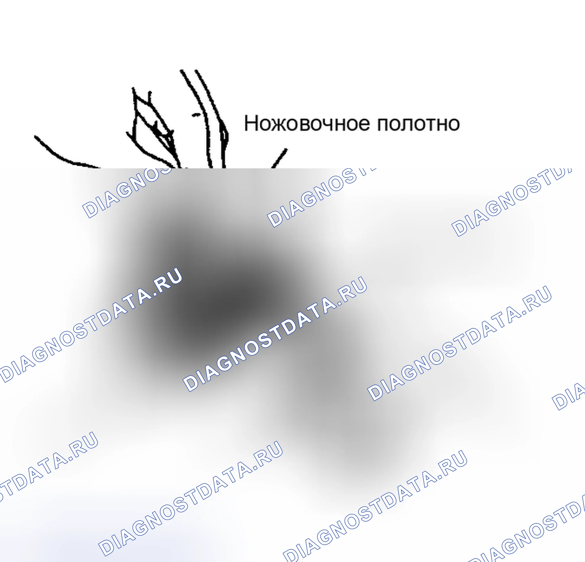 Рис. 26. Subaru Impreza WRX GD/GG рестайлинг