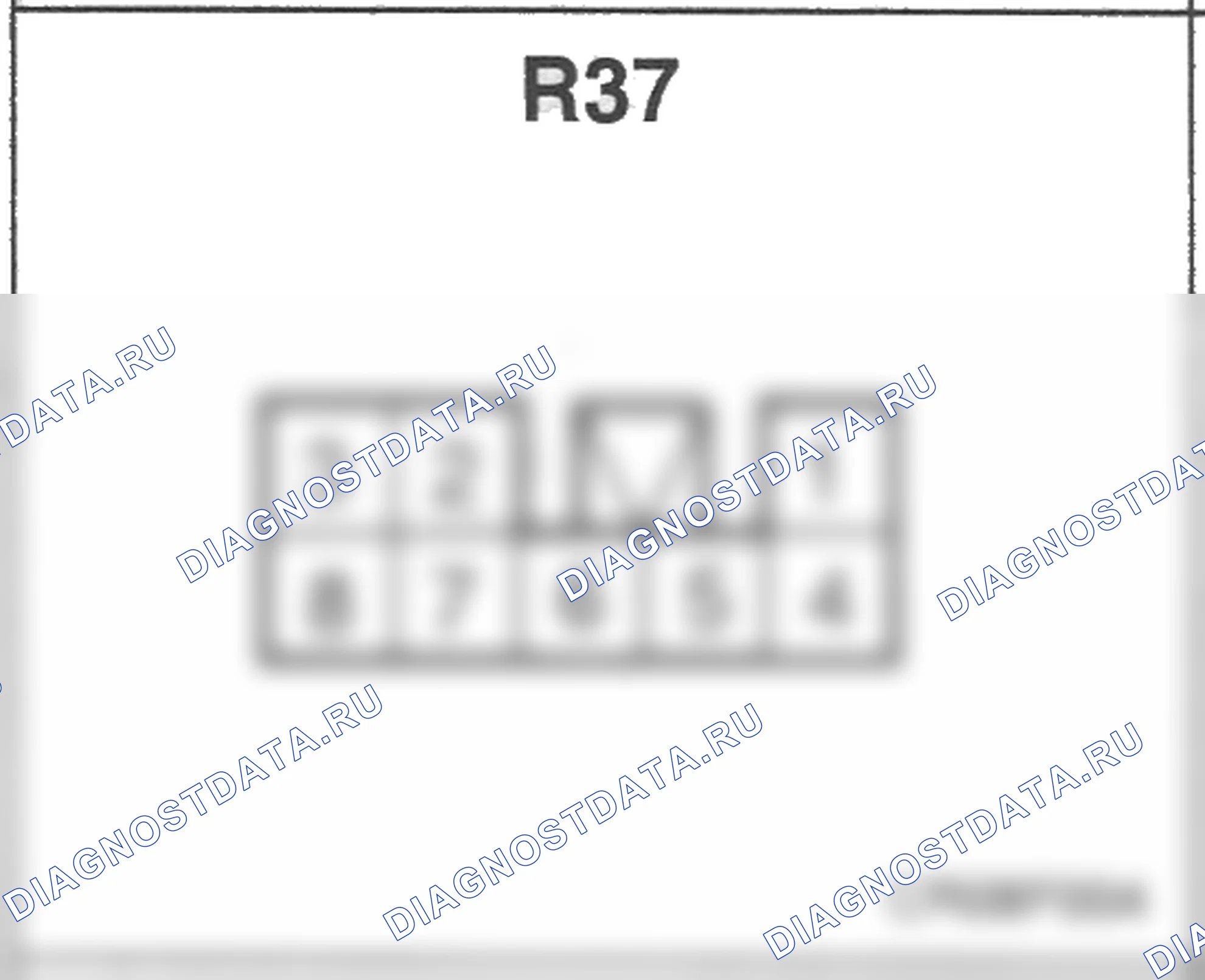 Распиновка разъёма R37 — заднего жгута. Hyundai Accent LC