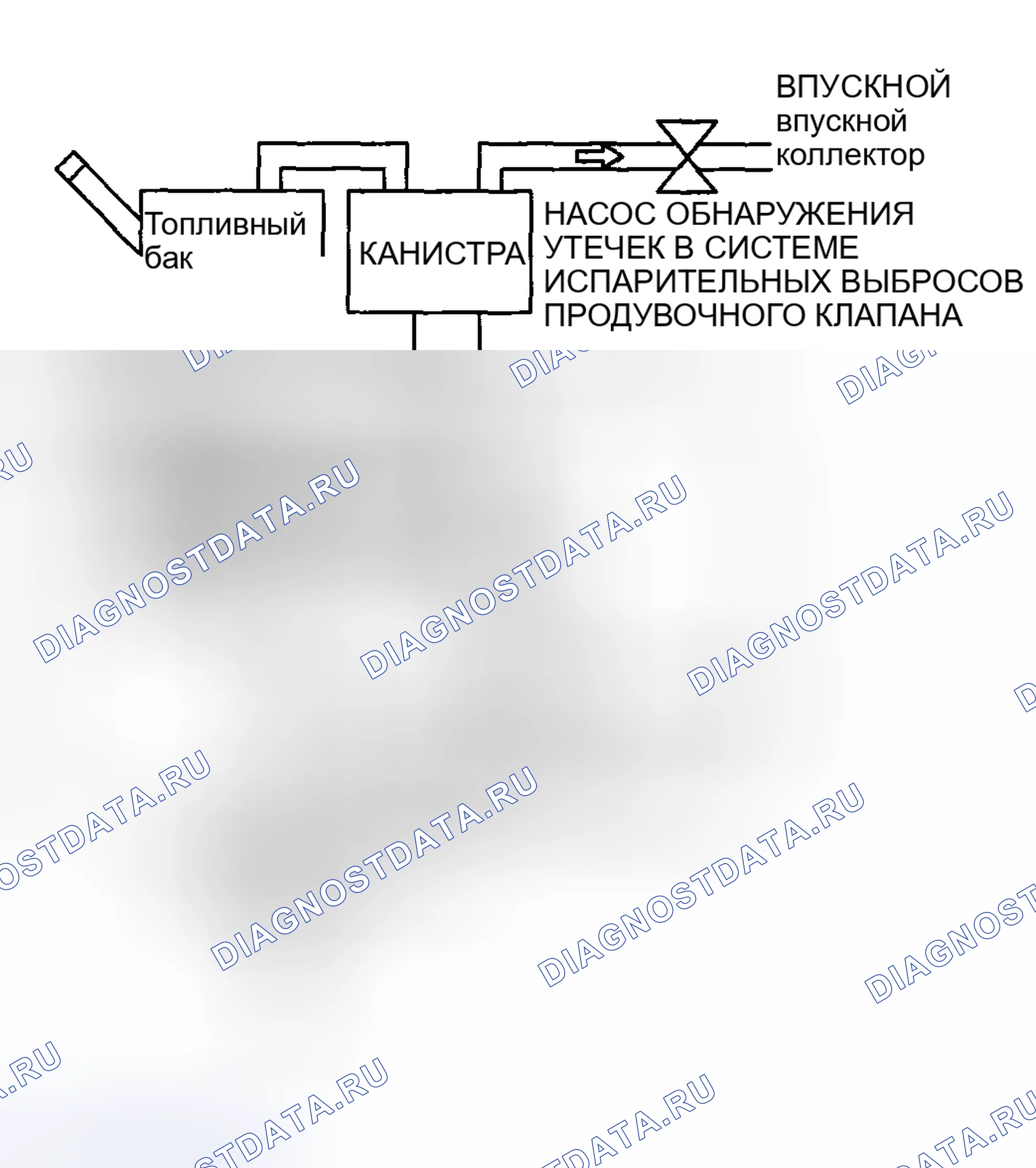 Рис. 146: Оценка неисправности системы EVAP. Mazda 6 GH рестайлинг