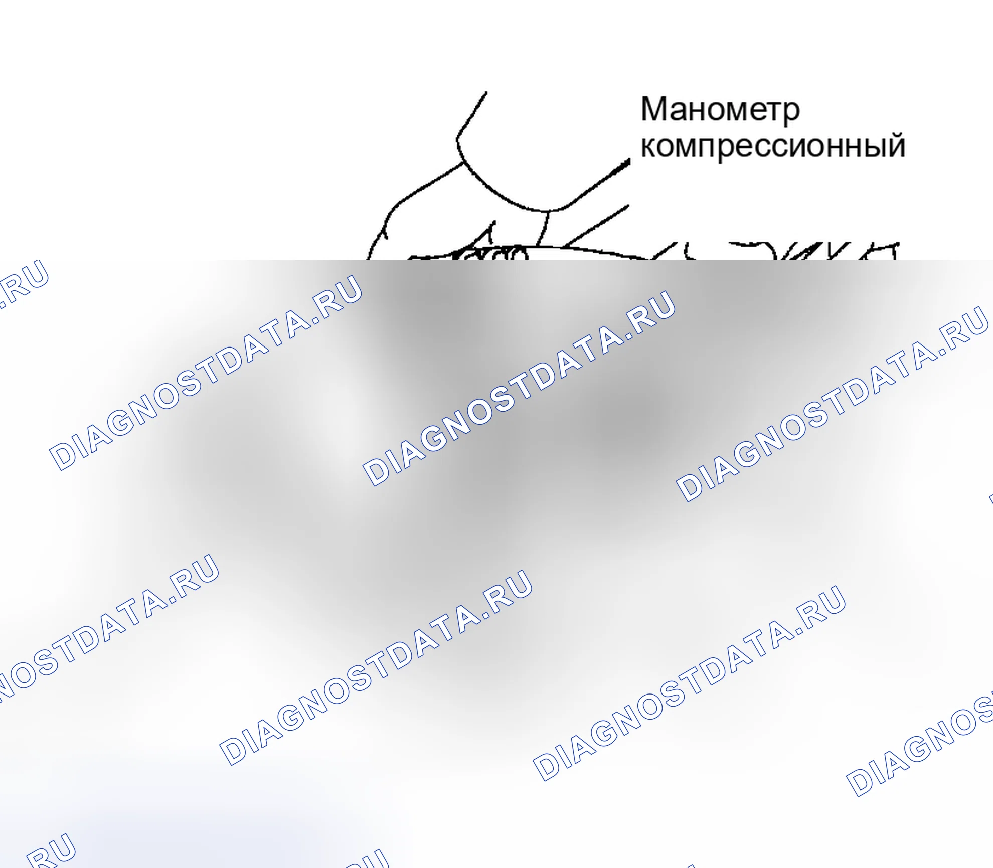Рис. 3. Toyota Matrix E130