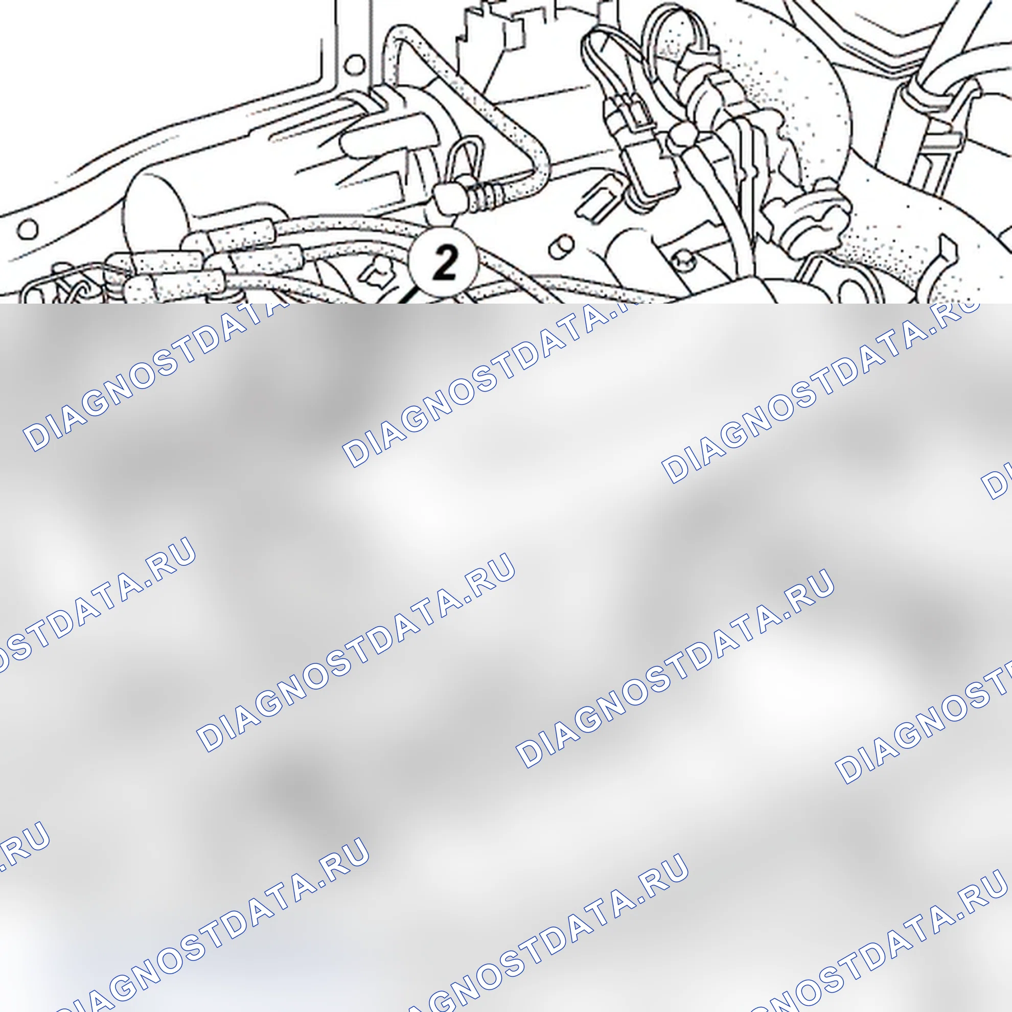 Моторное масло: слив-заправка — вариант 3. Renault Kangoo II-BeBop