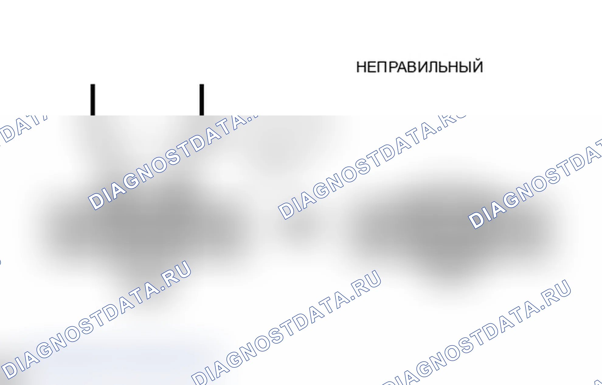 Рис. 152. Lexus IS F I