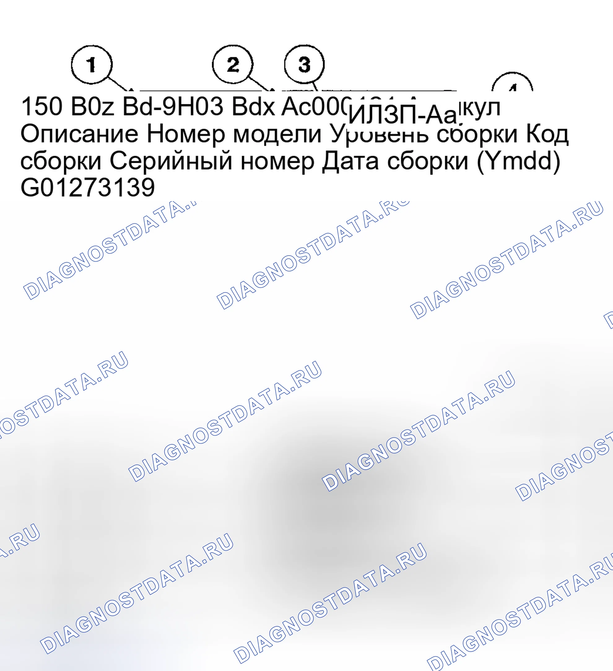 Рис. 79: ИДЕНТИФИКАЦИОННЫЕ МЕТКИ. Hyundai Nexo I