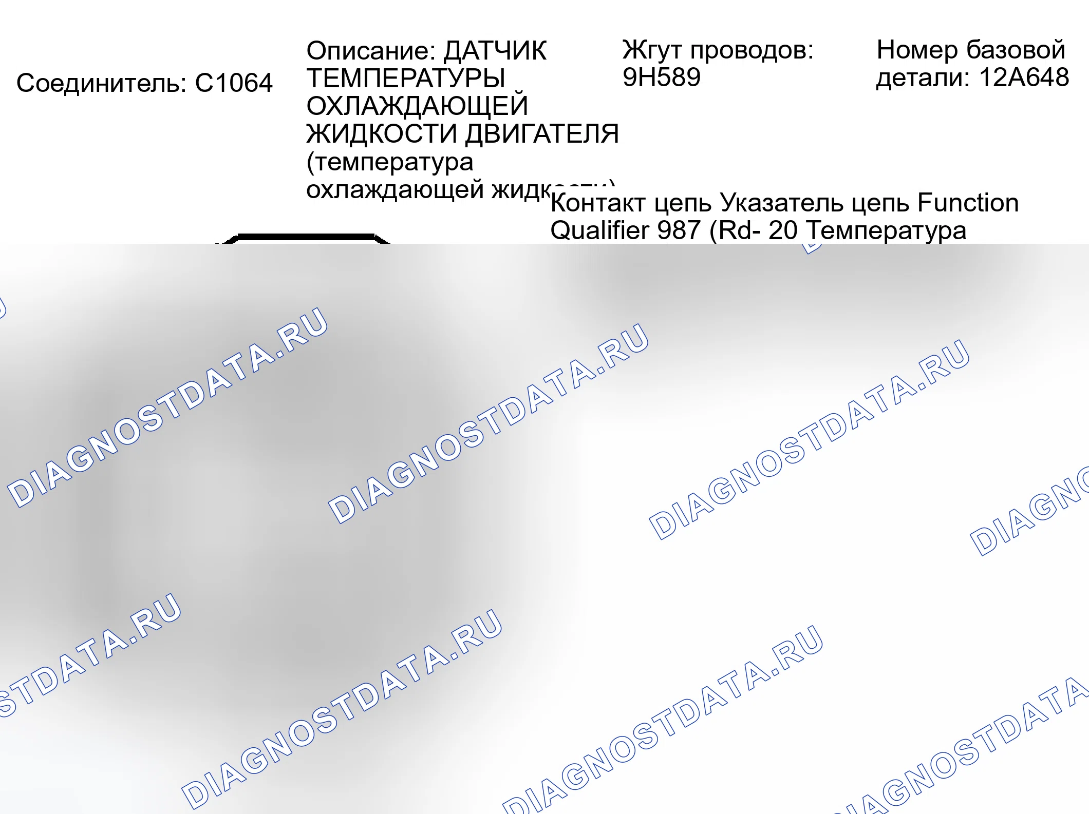 Рис. 223: Идентификация разъема C1064. Ford Escape I рестайлинг