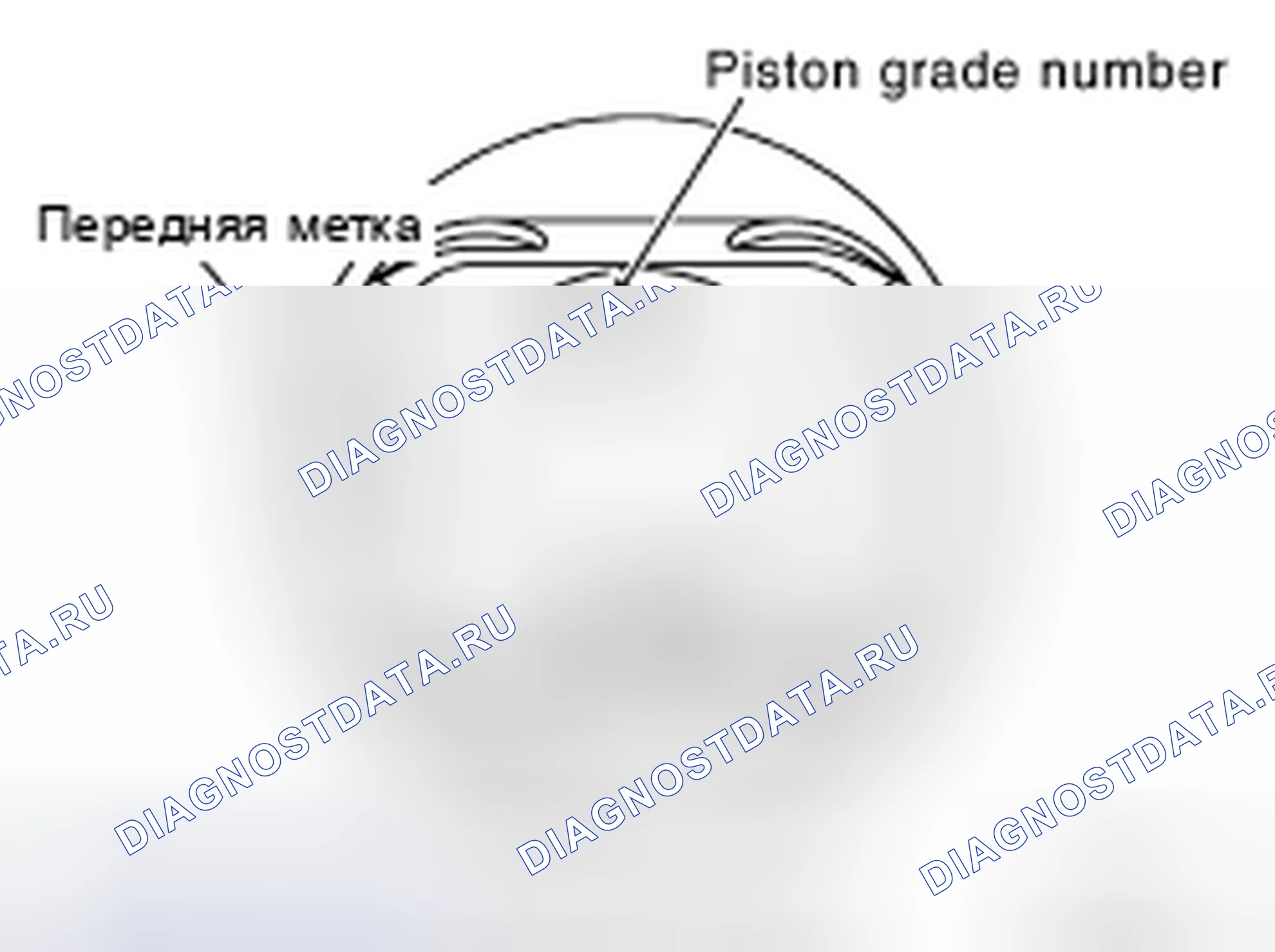 Рис. 223: При повторном использовании блока цилиндров. Nissan Pathfinder III