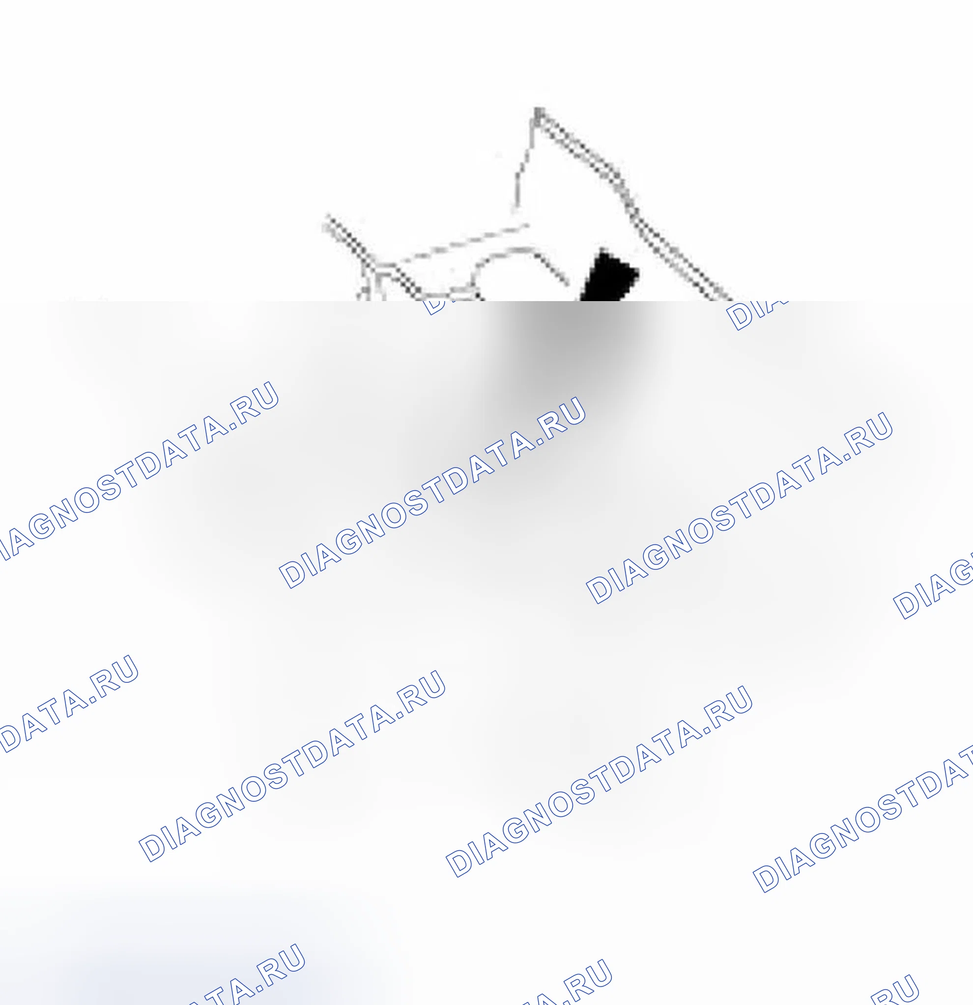 Рис. 90. Jaguar XKR I
