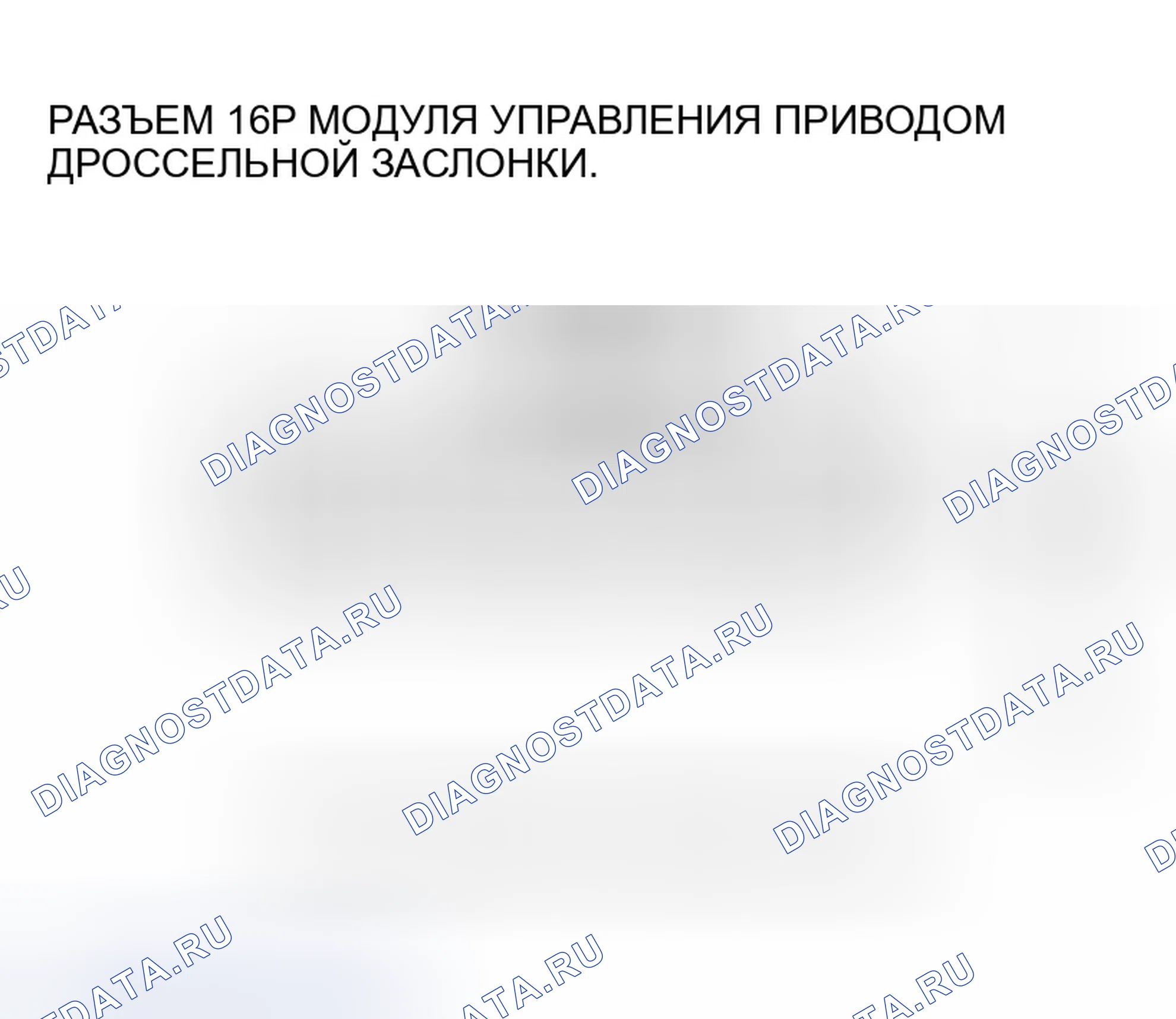 Рис. 261: расшифровка кода ошибки U0107: Потеря связи с модулем управления приводом дроссельной заслонки (модель 2006-07). Honda Accord VII