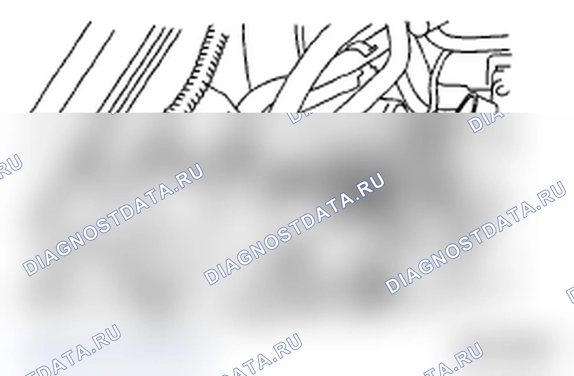 Рис. 100. Subaru Impreza WRX GH