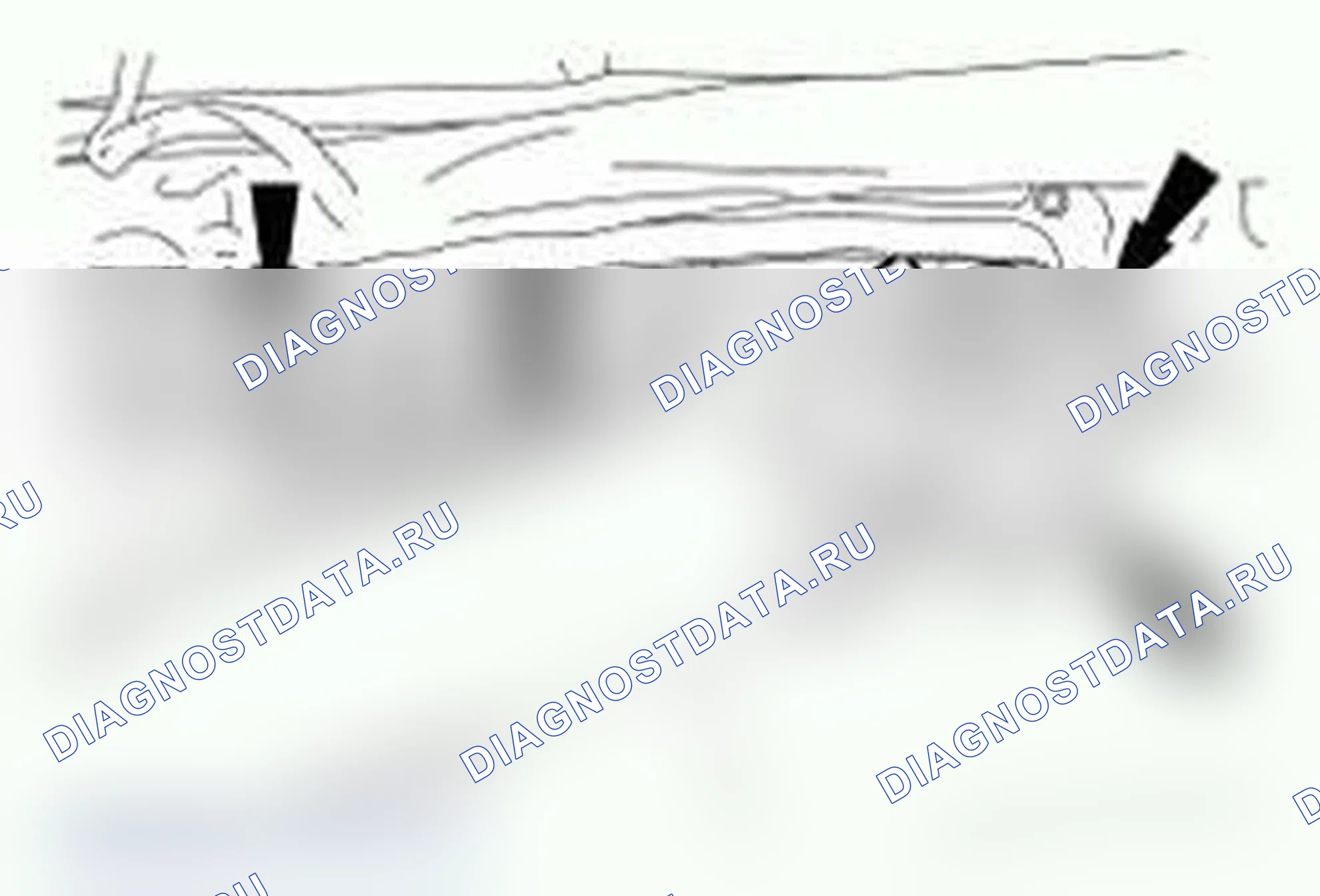 Рис. 58. Ford Cutaway E350 Super Duty 