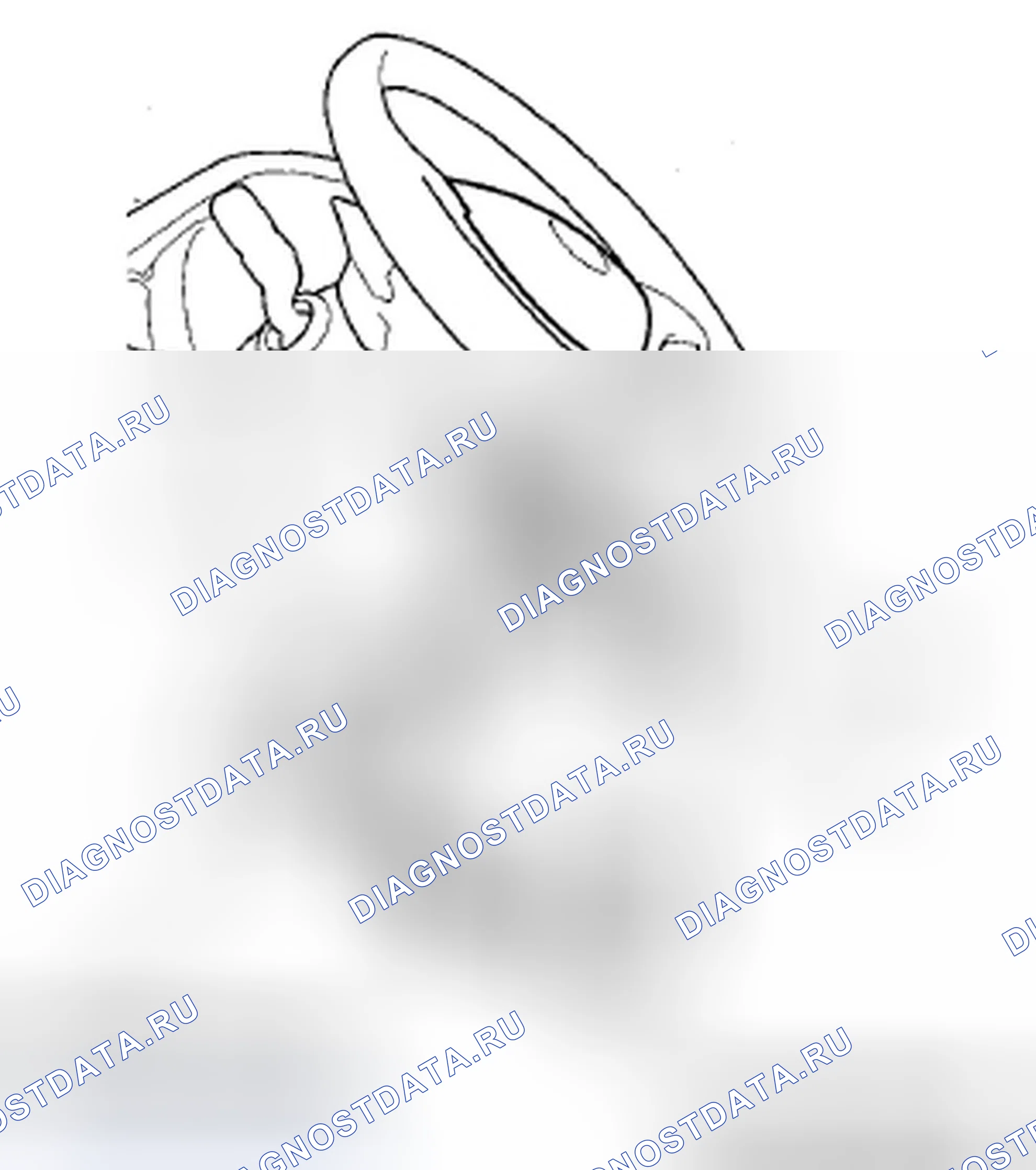 Рис. 24. Acura ZDX I
